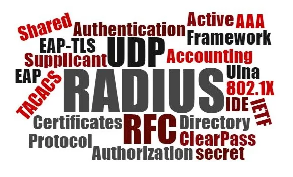 RADIUS rectangle wordcloud cropped.jpg