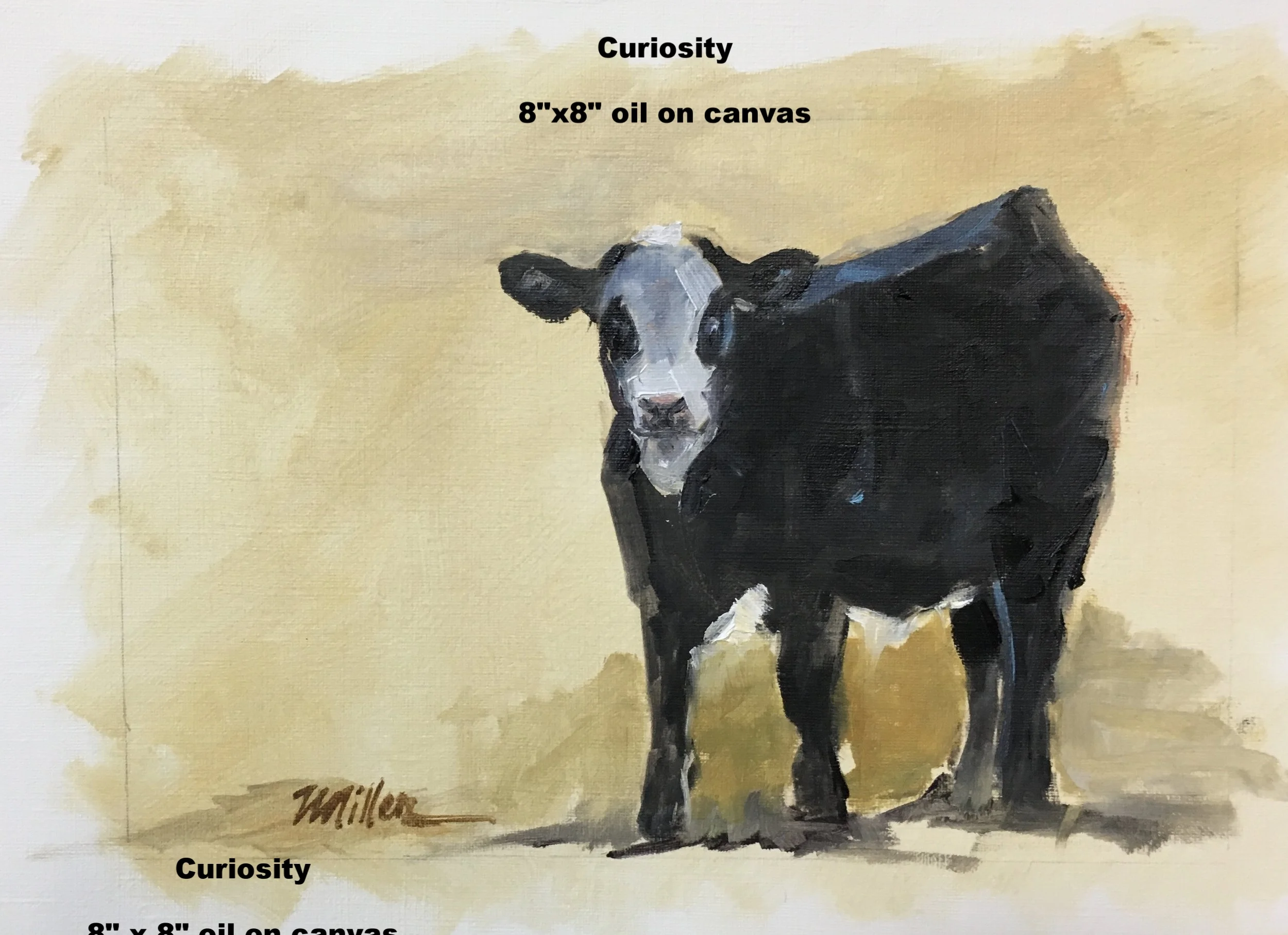 Curiosity