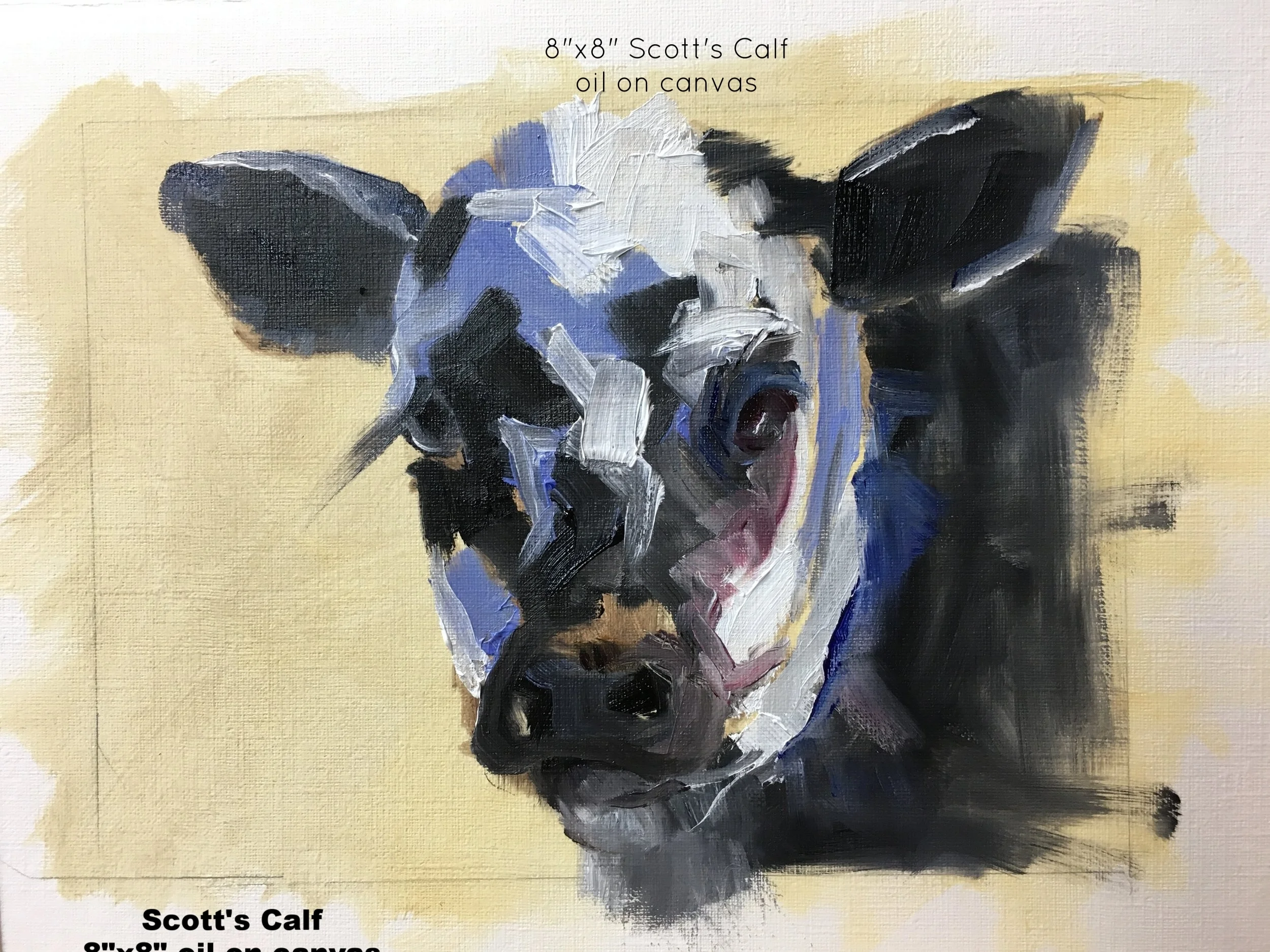 Scott's Calf