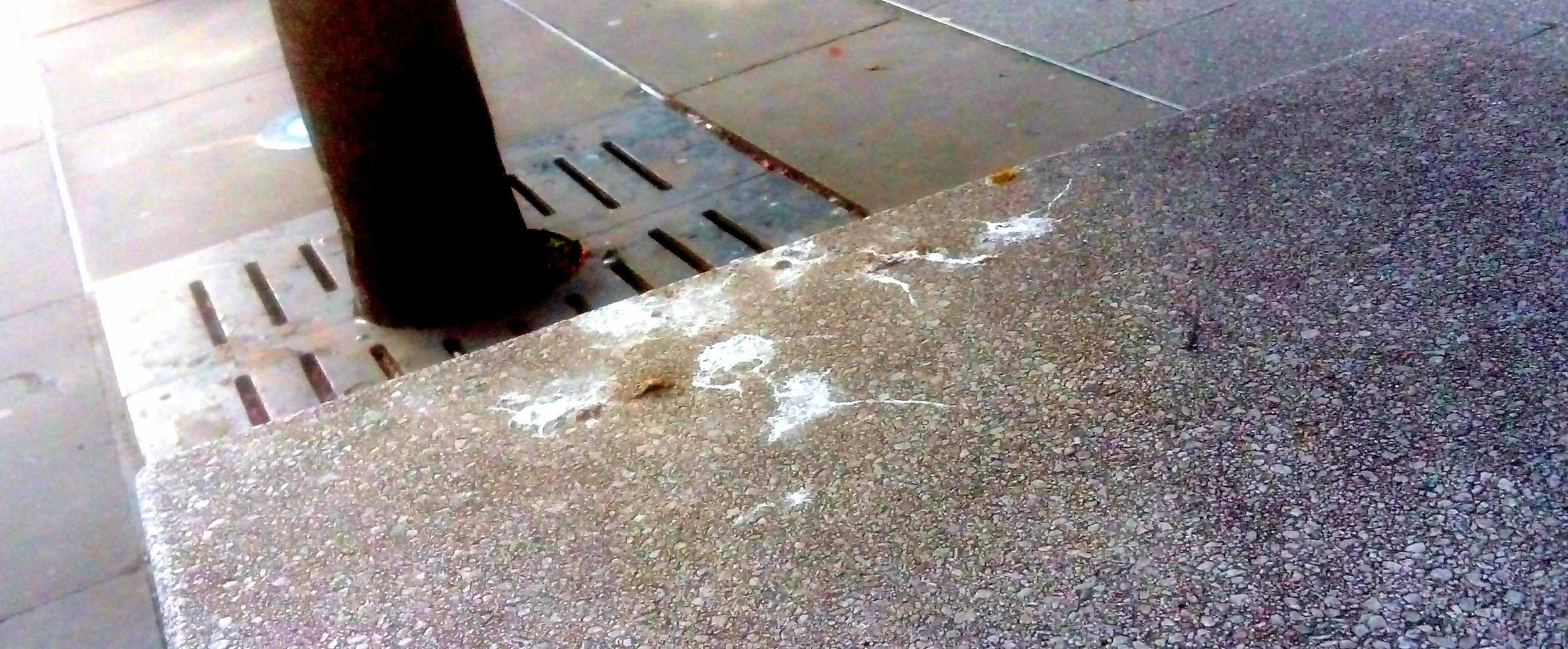 It's Loathe at First Shite