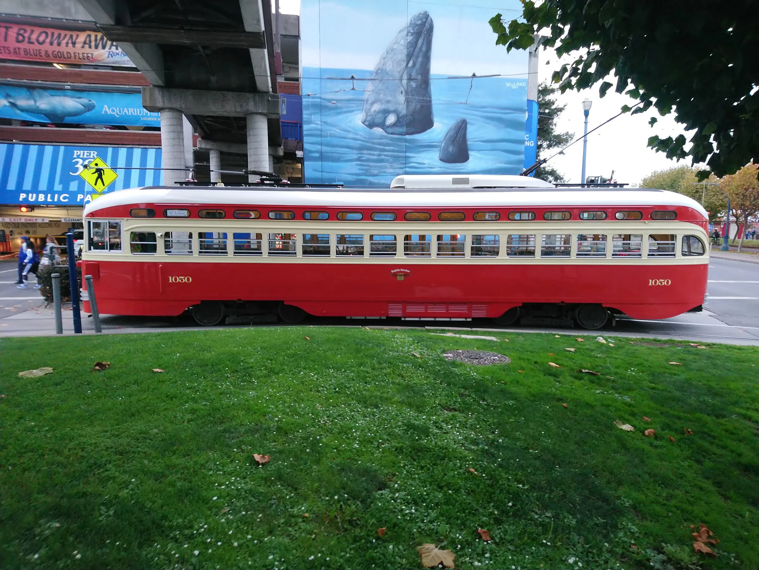 Basking In The San-Time