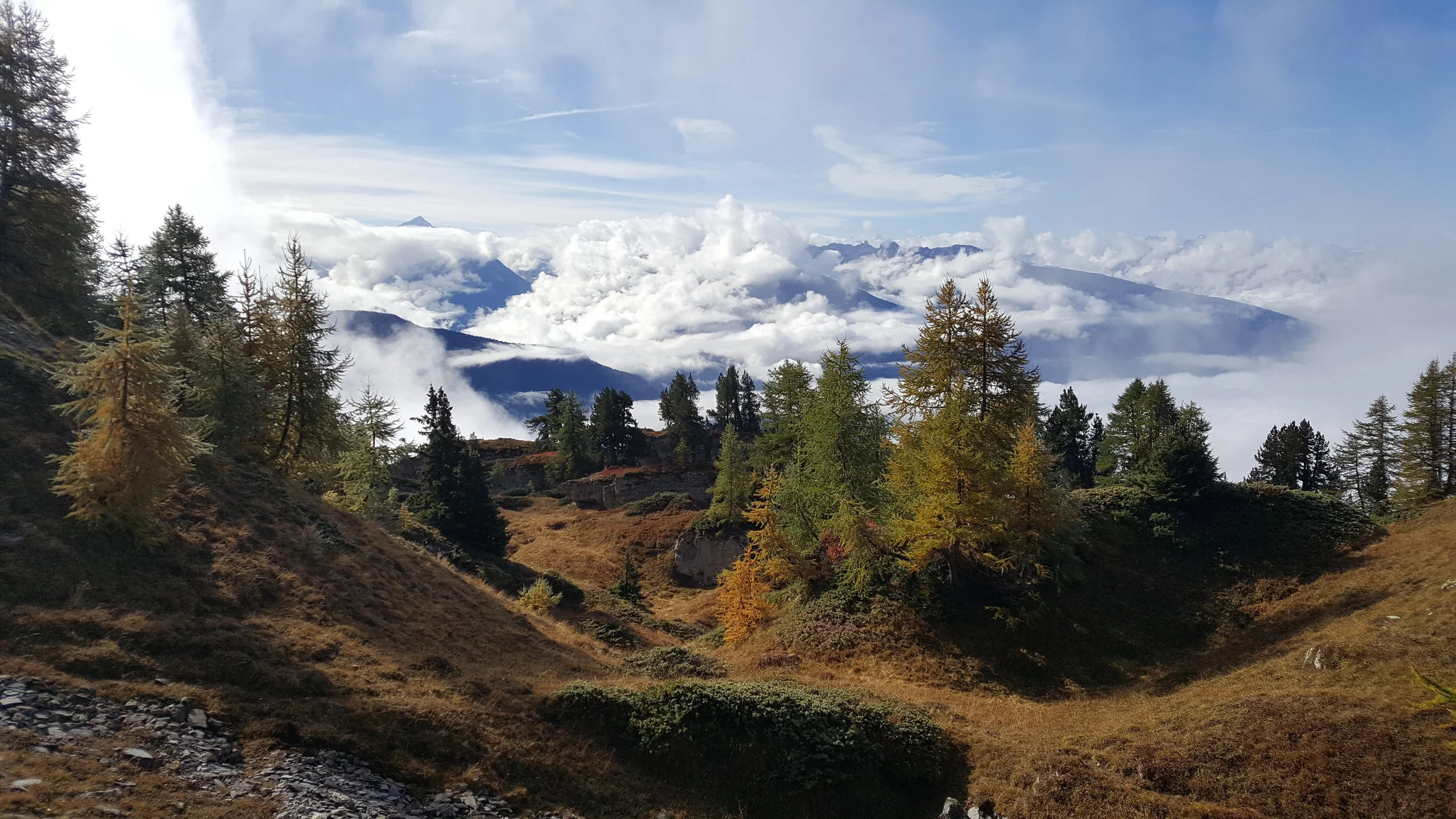 2017-10-01 11.04.33.jpg