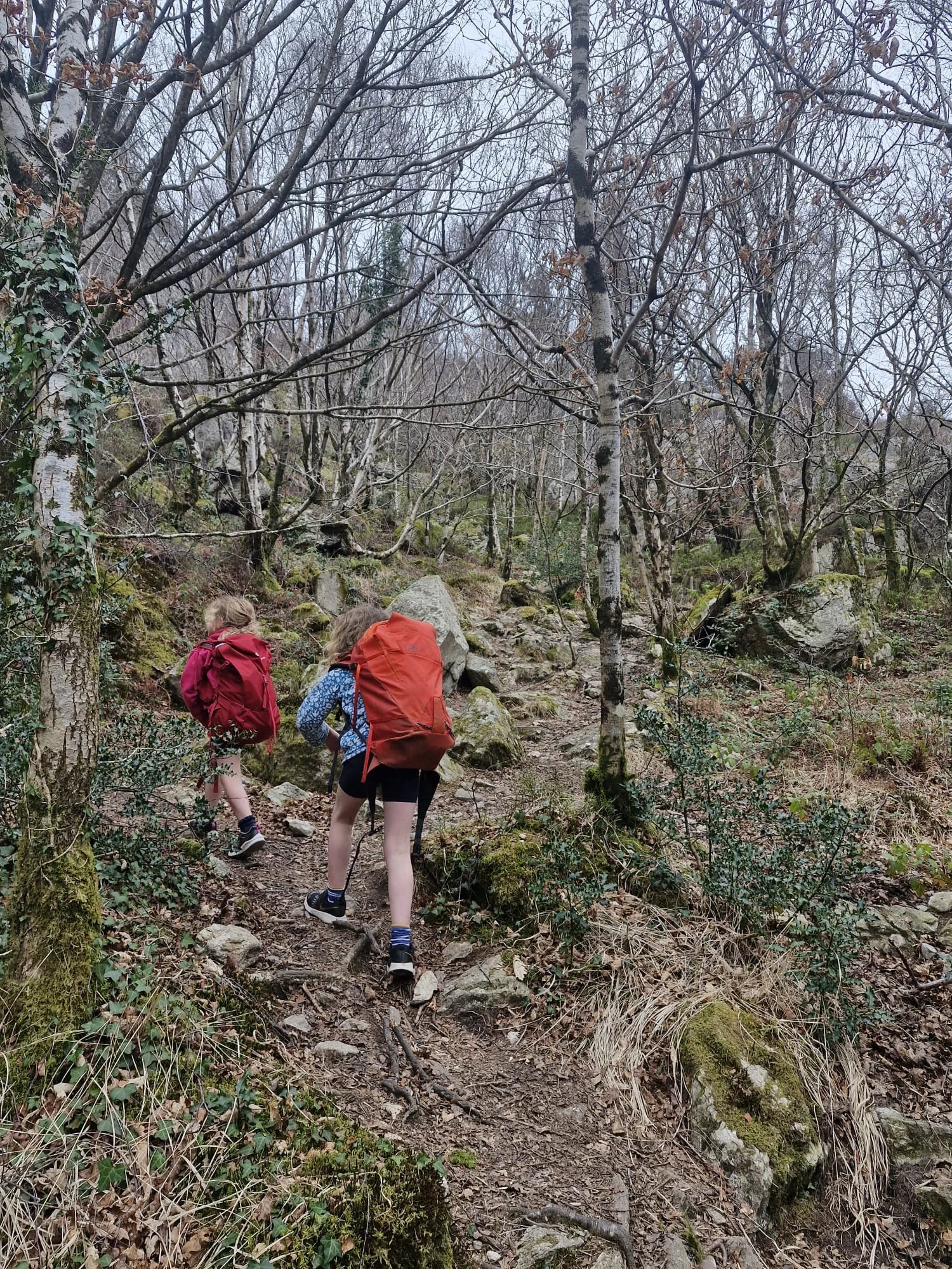 Family Adventure day availability