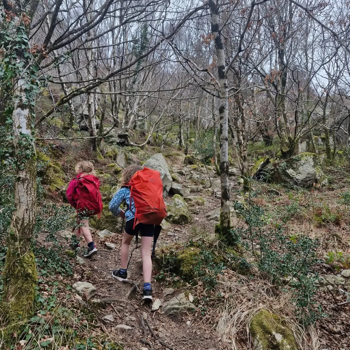 FAMILY ADVENTURES 

Young people need opportunities to try outdoor adventures but we understand how daunting that could be as a parent to take your little ones out. Our team has loads of experience guiding young people on outdoor activities at the cr
