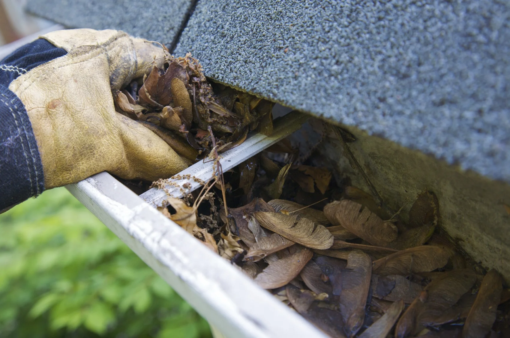 gutter-cleaning-memphis.jpg