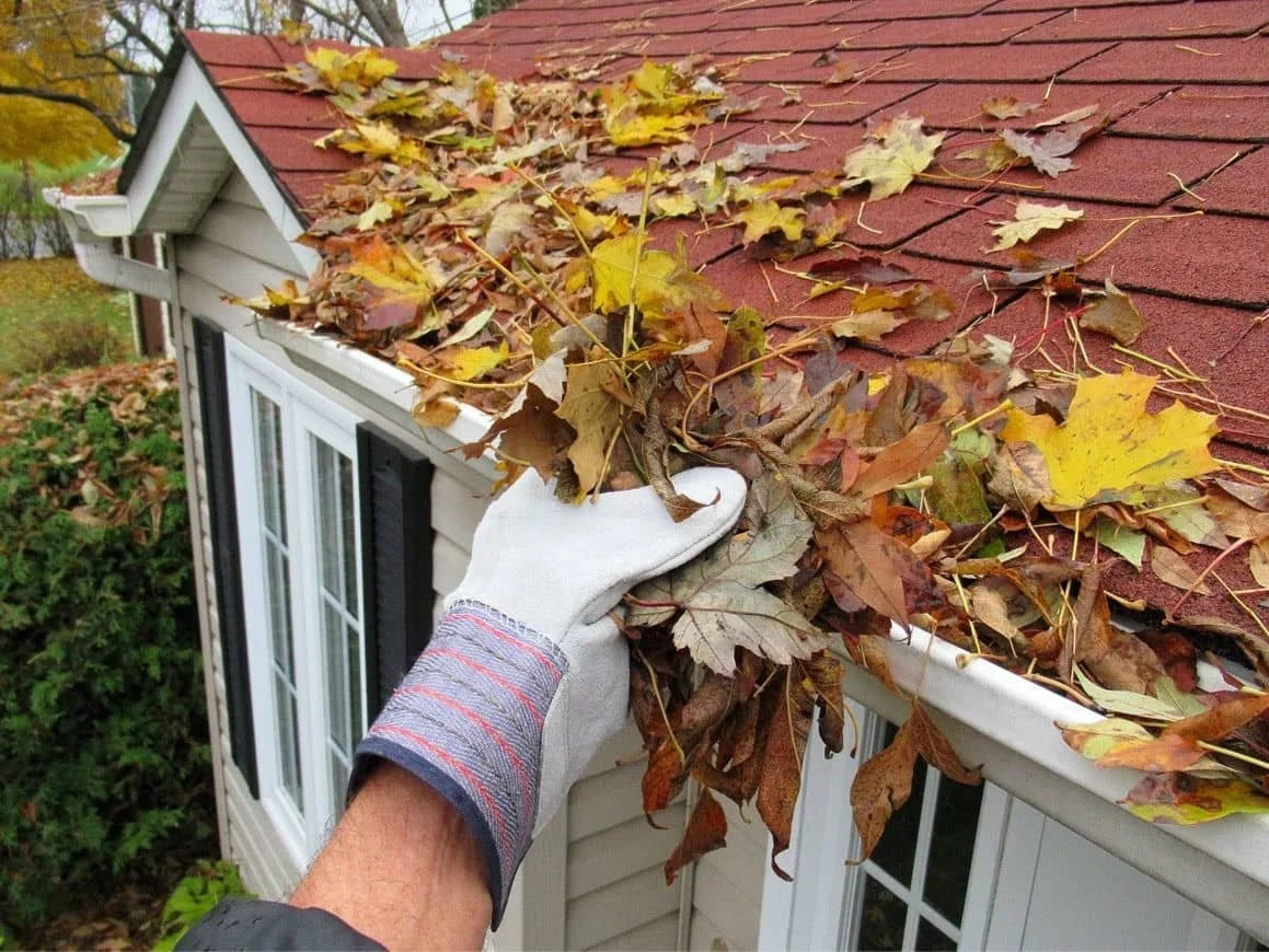 Professional gutter cleaning service removing pine needle debris from a Bend Oregon home