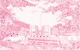 magenta.jpg