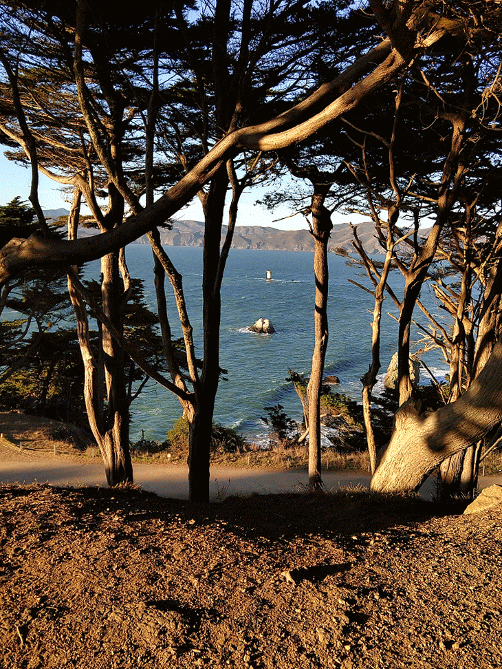 IMG_20181029_171651473_HDR-ANIMATION.gif