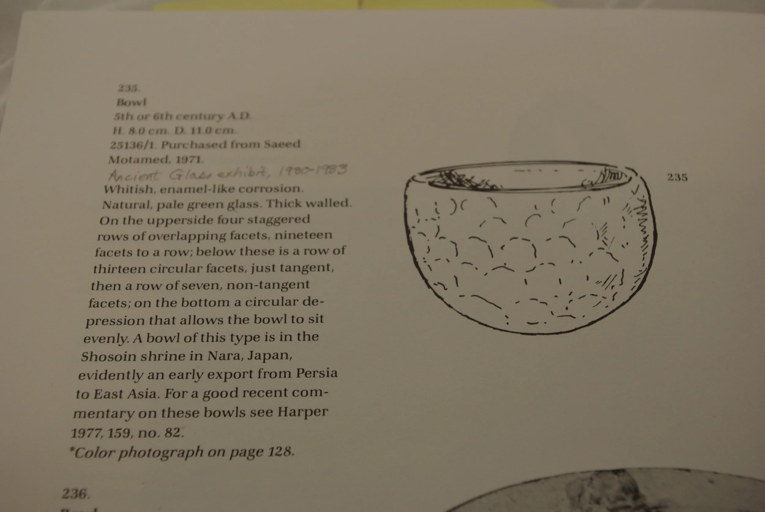 IMGP0040.jpg