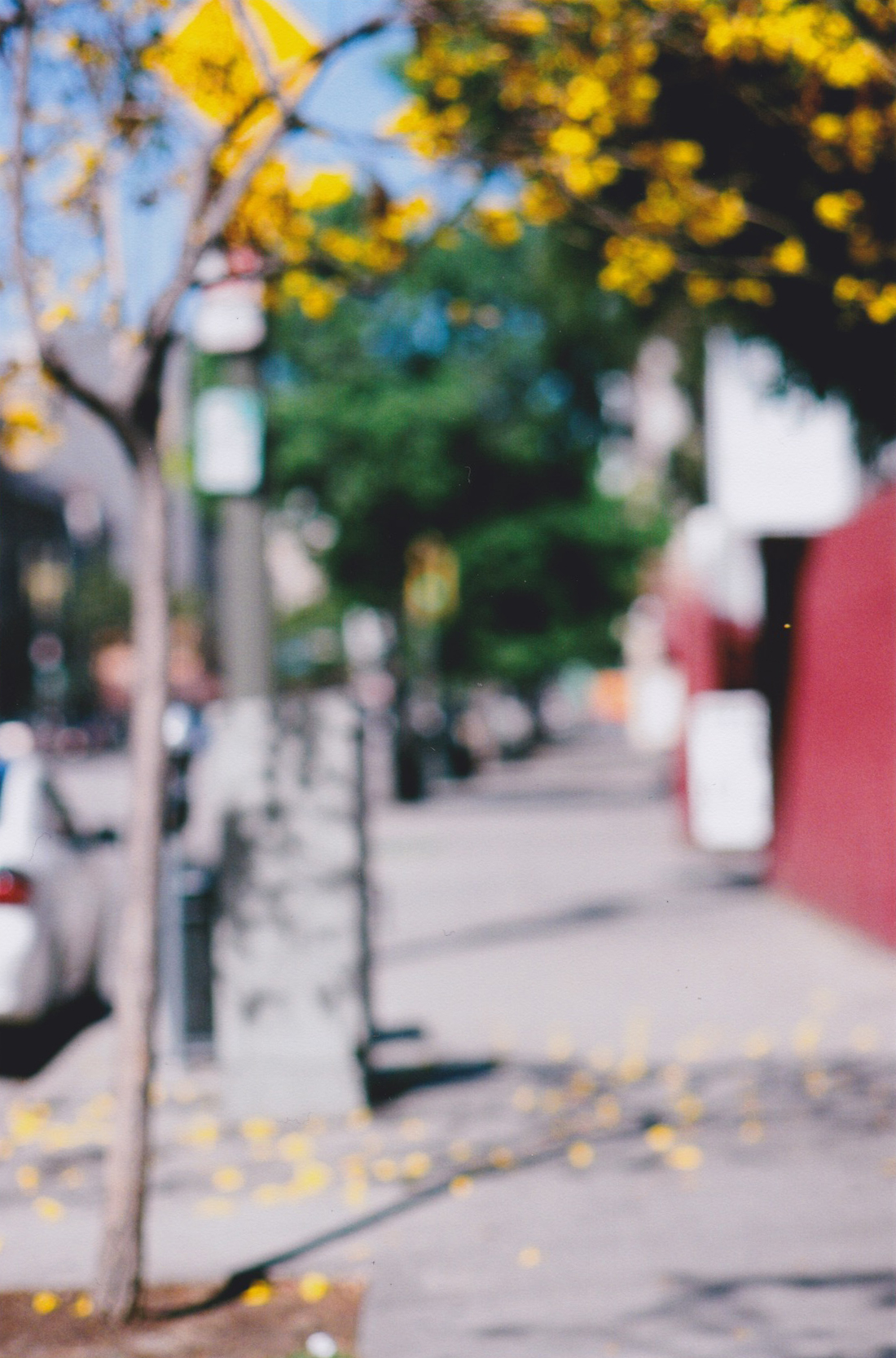 mellowyellow_analogue.jpg