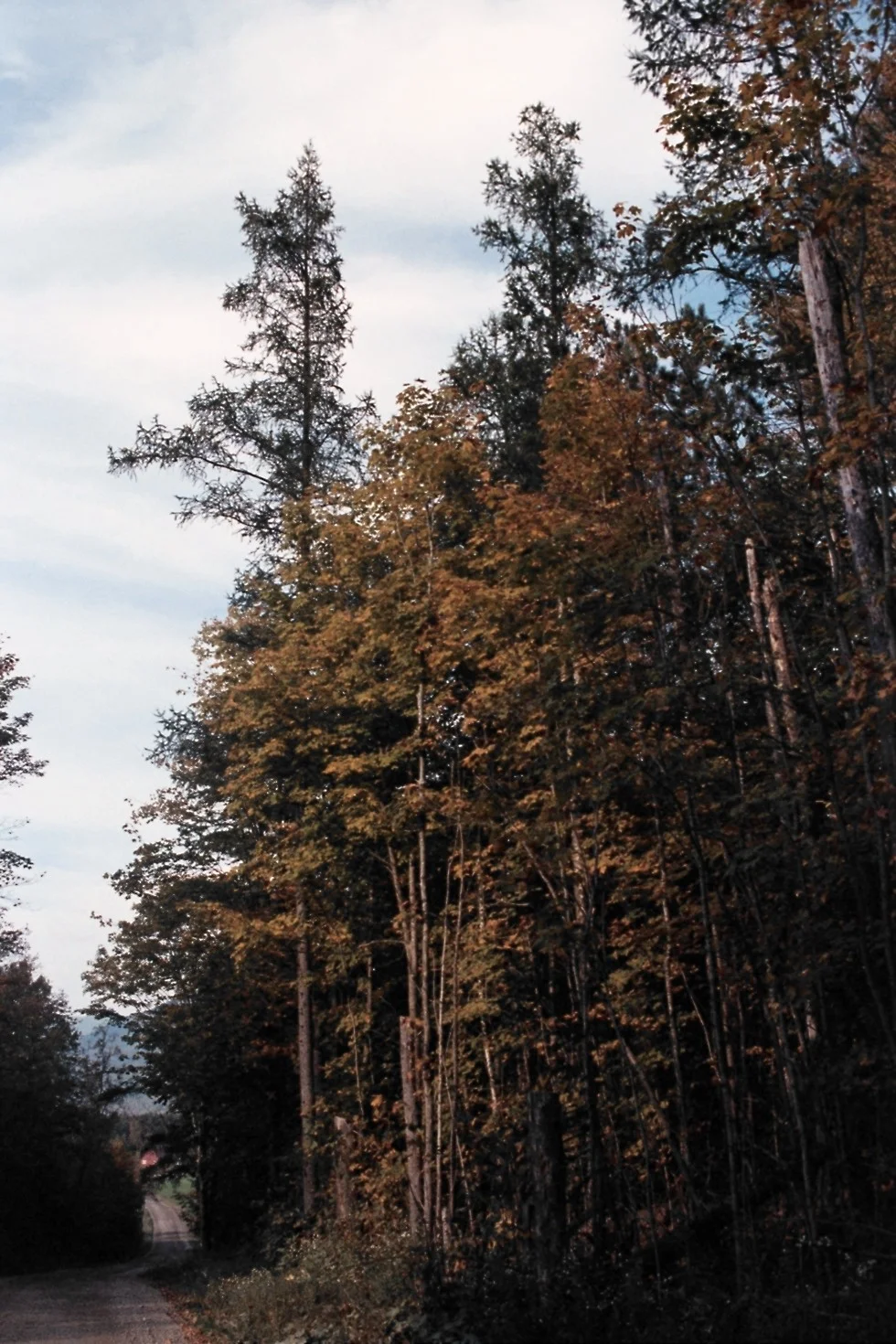 AA004.jpg