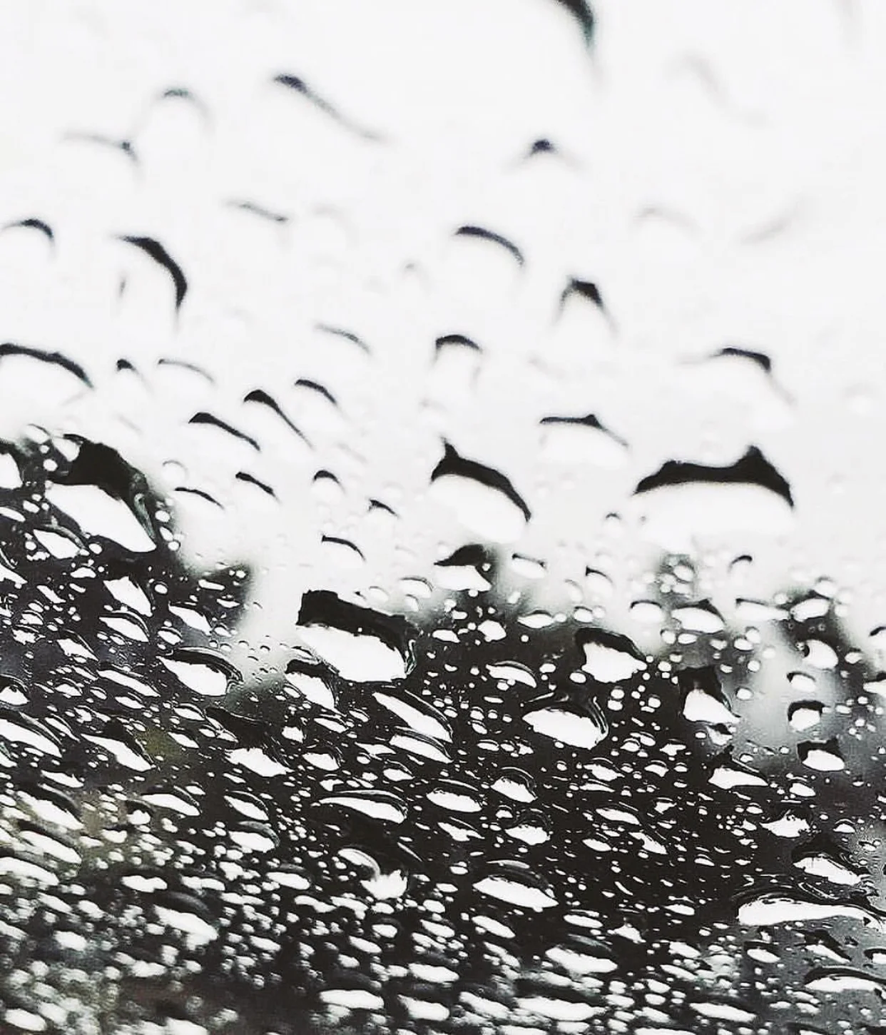 raindrops.jpg