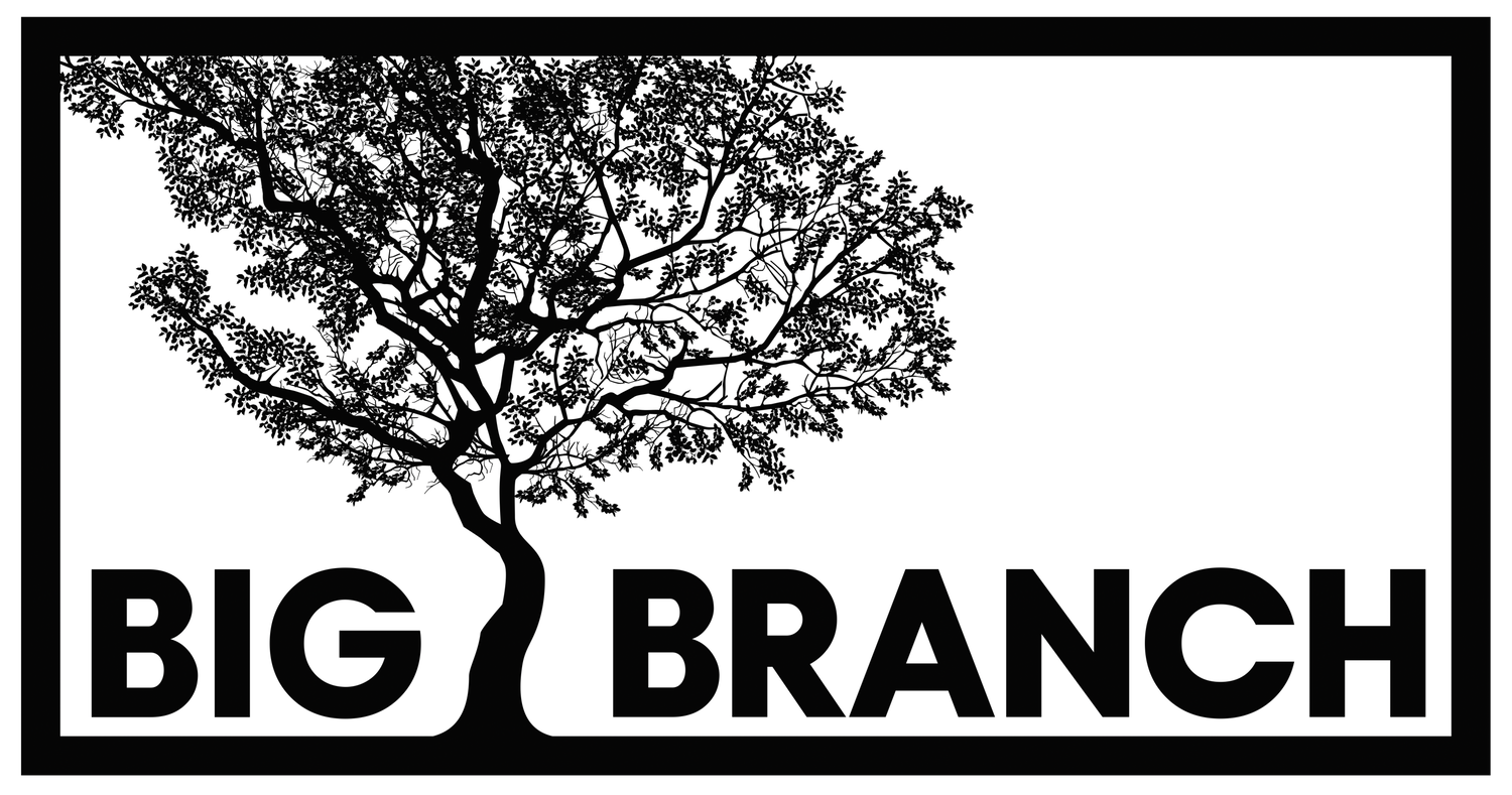 Big Branch Productions