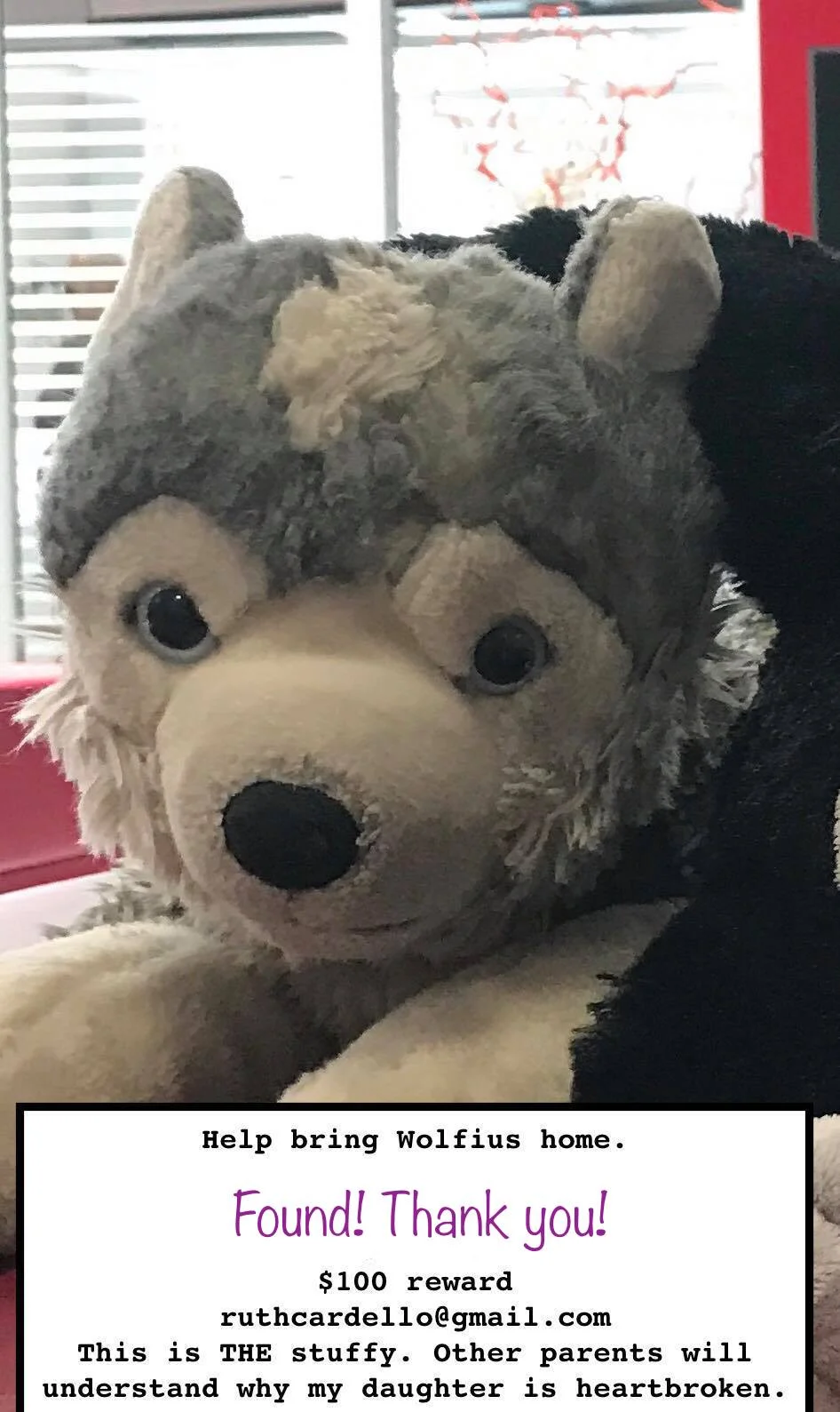 Actual social media post that was shared more than . 5,000 times and helped to bring Wolfius home.