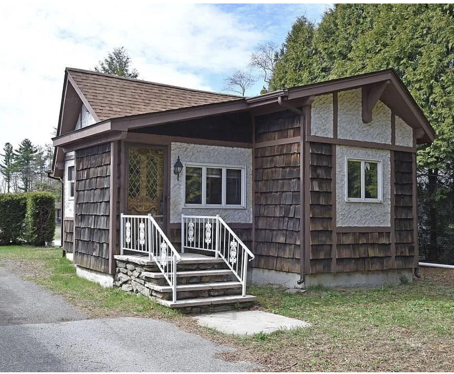 Giraffes at the Zoo: Why I Was "Quietly" Asked to Leave the Library