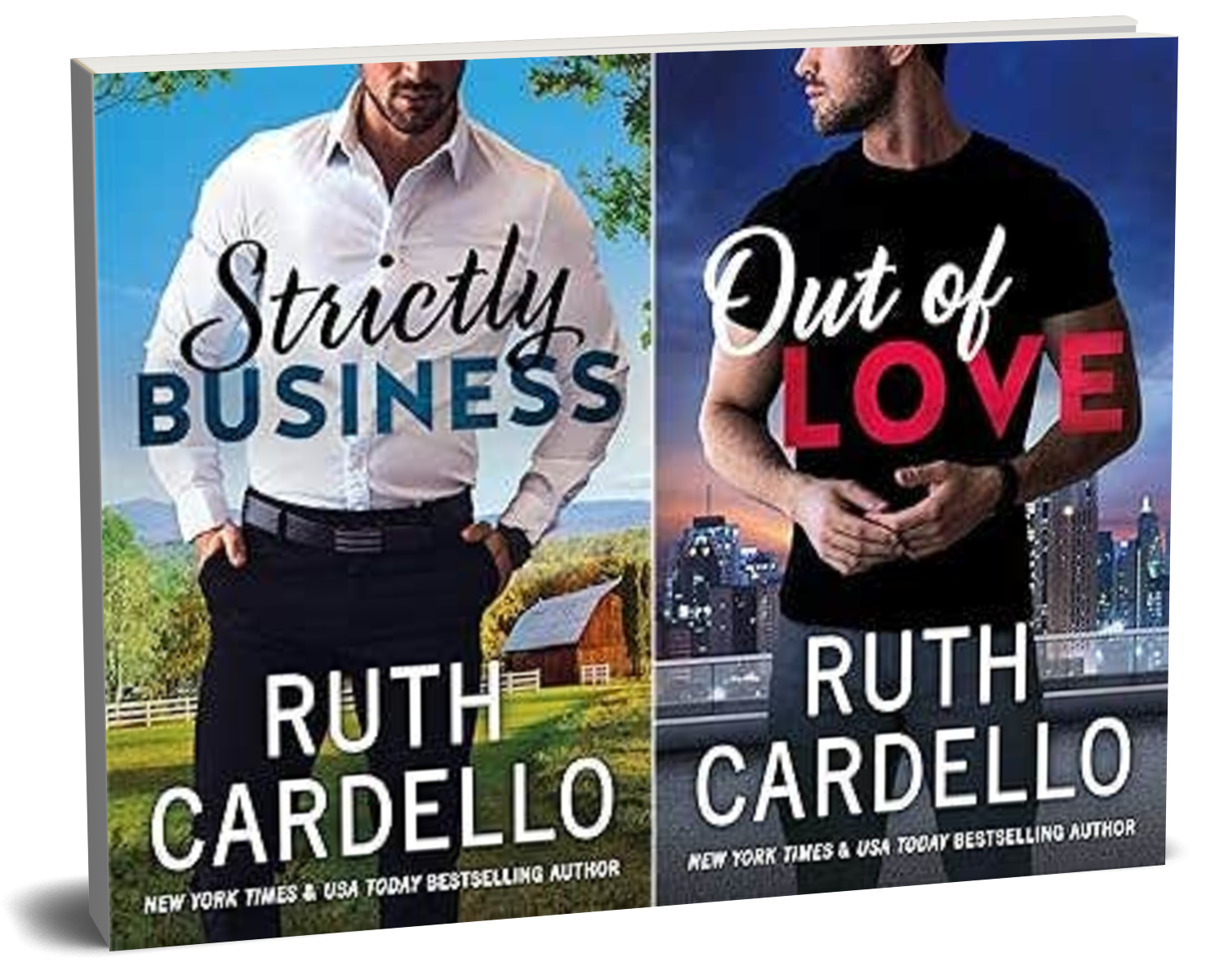 Twin Switch BookBrushImage95346.png