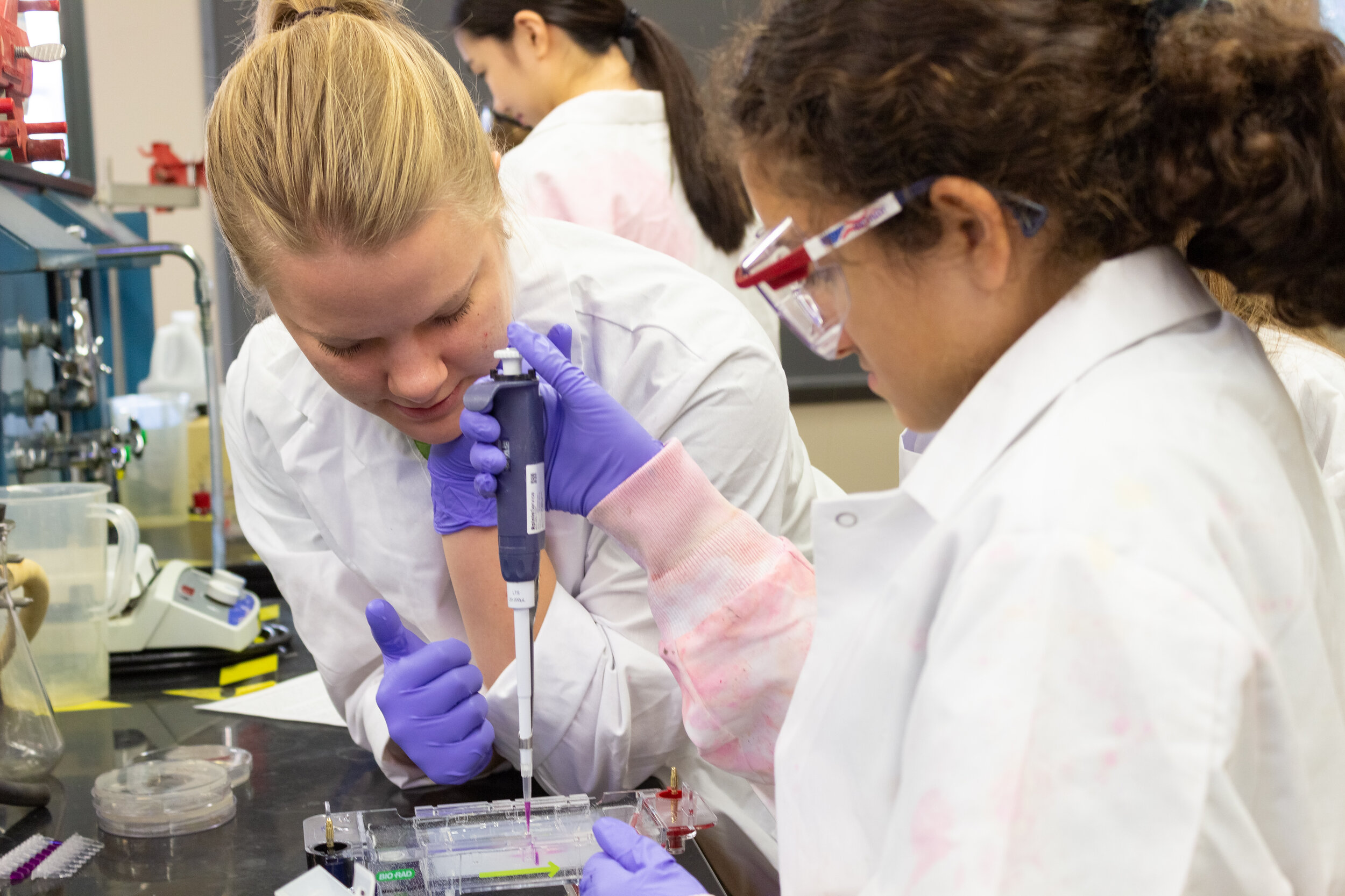 GirlsScienceDayNov2019-123.jpg