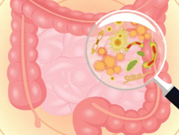 gut microbiome.jpg