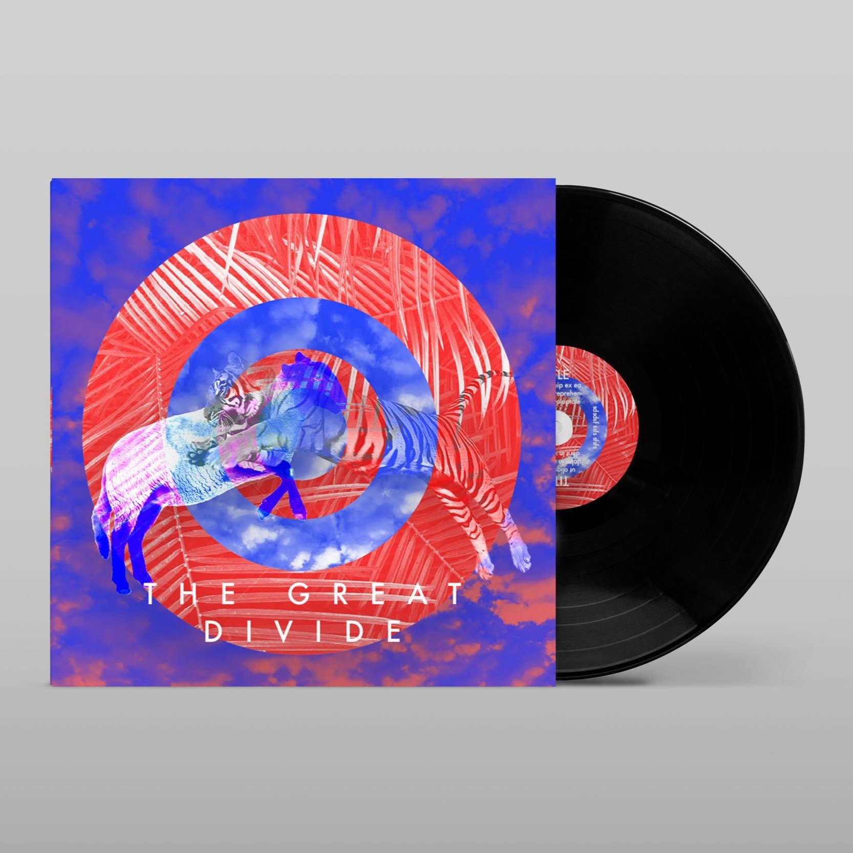 / THE GREAT DIVIDE