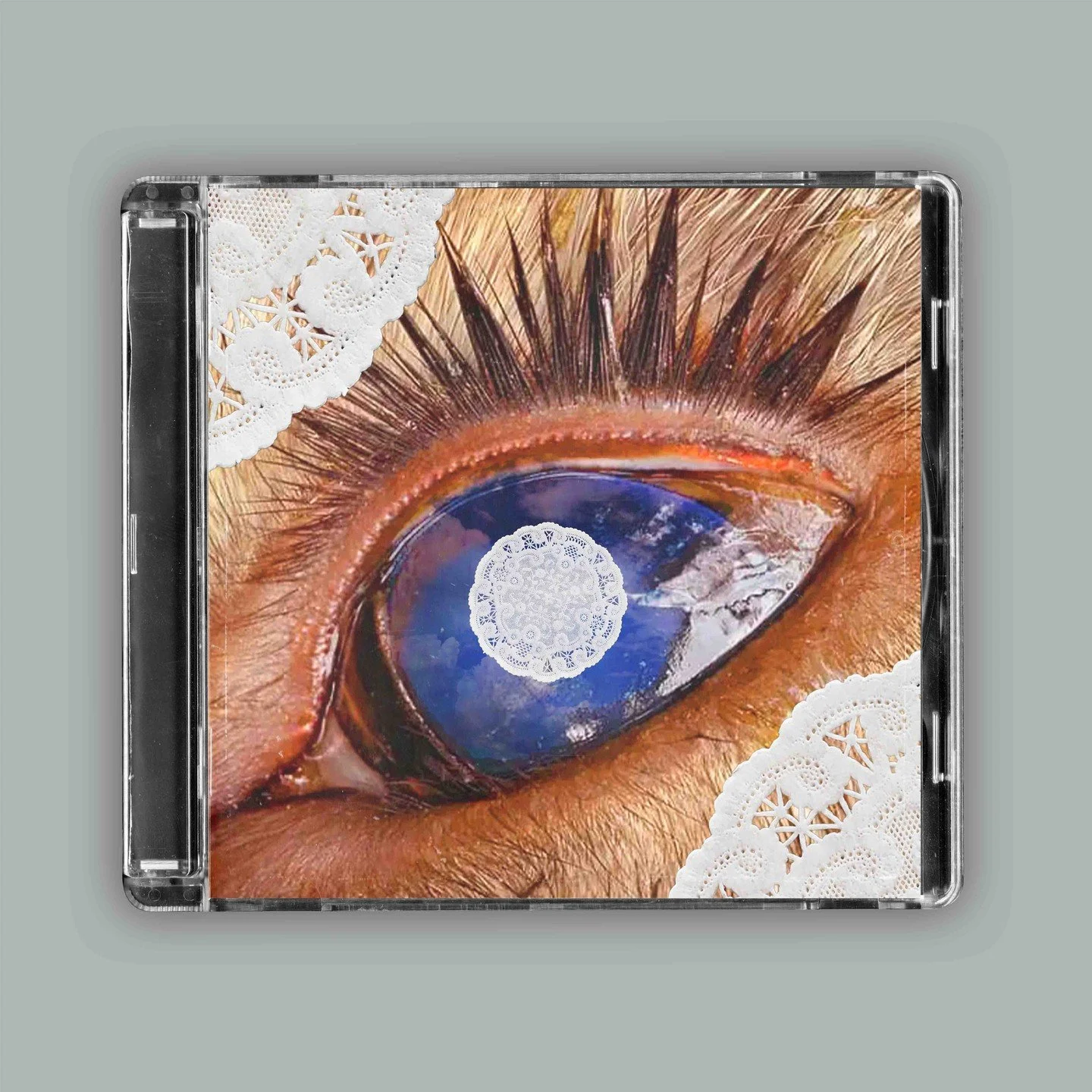 #music #album #coverart #coverartwork #cd #retro #graphicdesign #graphicdesigners #artwork #graphic #design #designer #albumart #albumartwork #dailyarts #kansas #kansascity #deer #earth