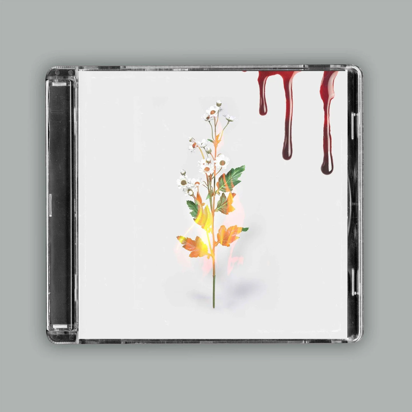 #music #album #coverart #coverartwork #cd #retro #graphicdesign #graphicdesigners #artwork #graphic #design #designer #albumart #albumartwork #dailyarts #kansas #kansascity #funky #90s #90skid #90style