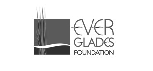 everglades_foundation.jpg