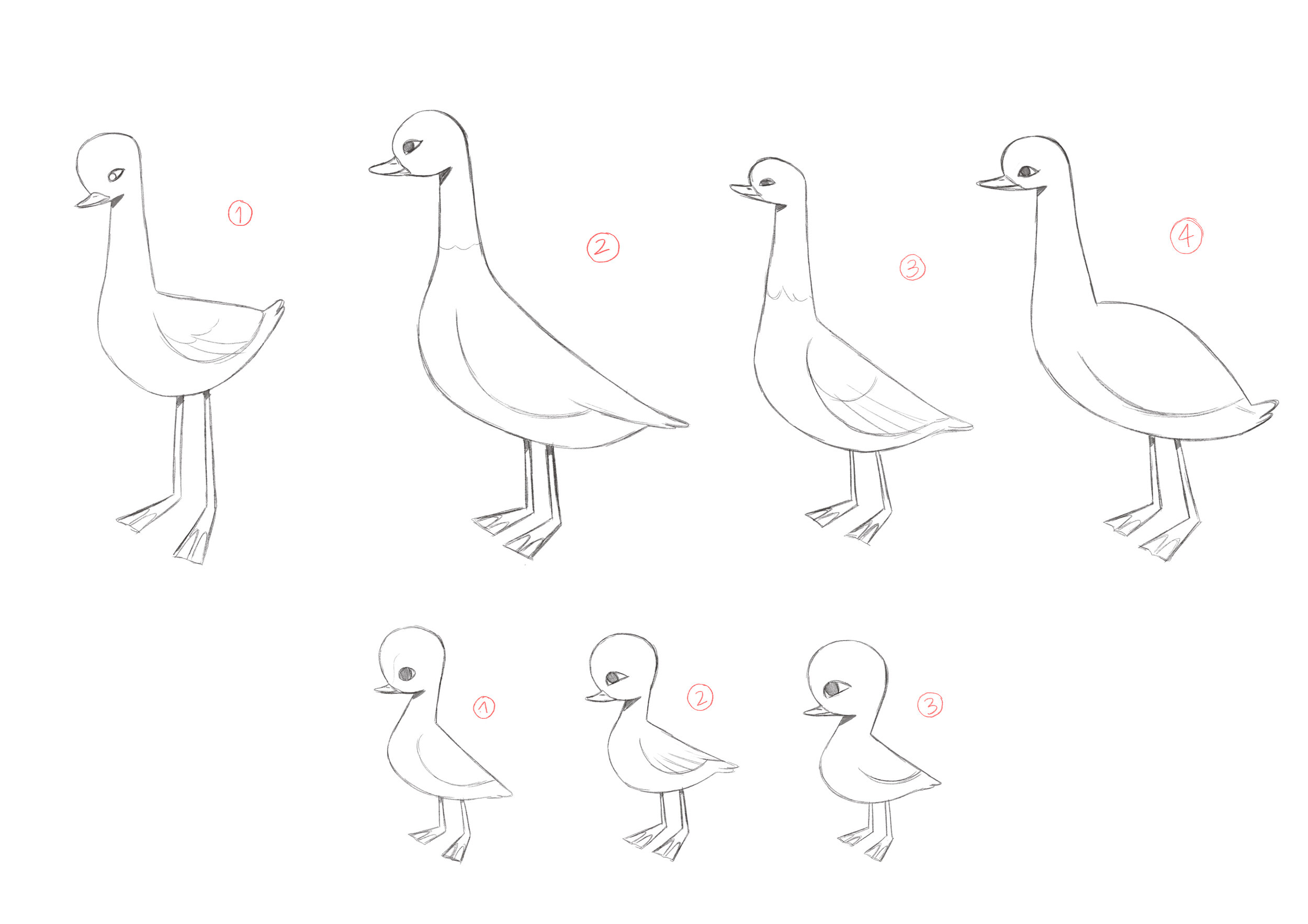 The Ugly Duckling_Alexandra Badiu_Character Design_Sketch_Mother & Ducklings.jpg