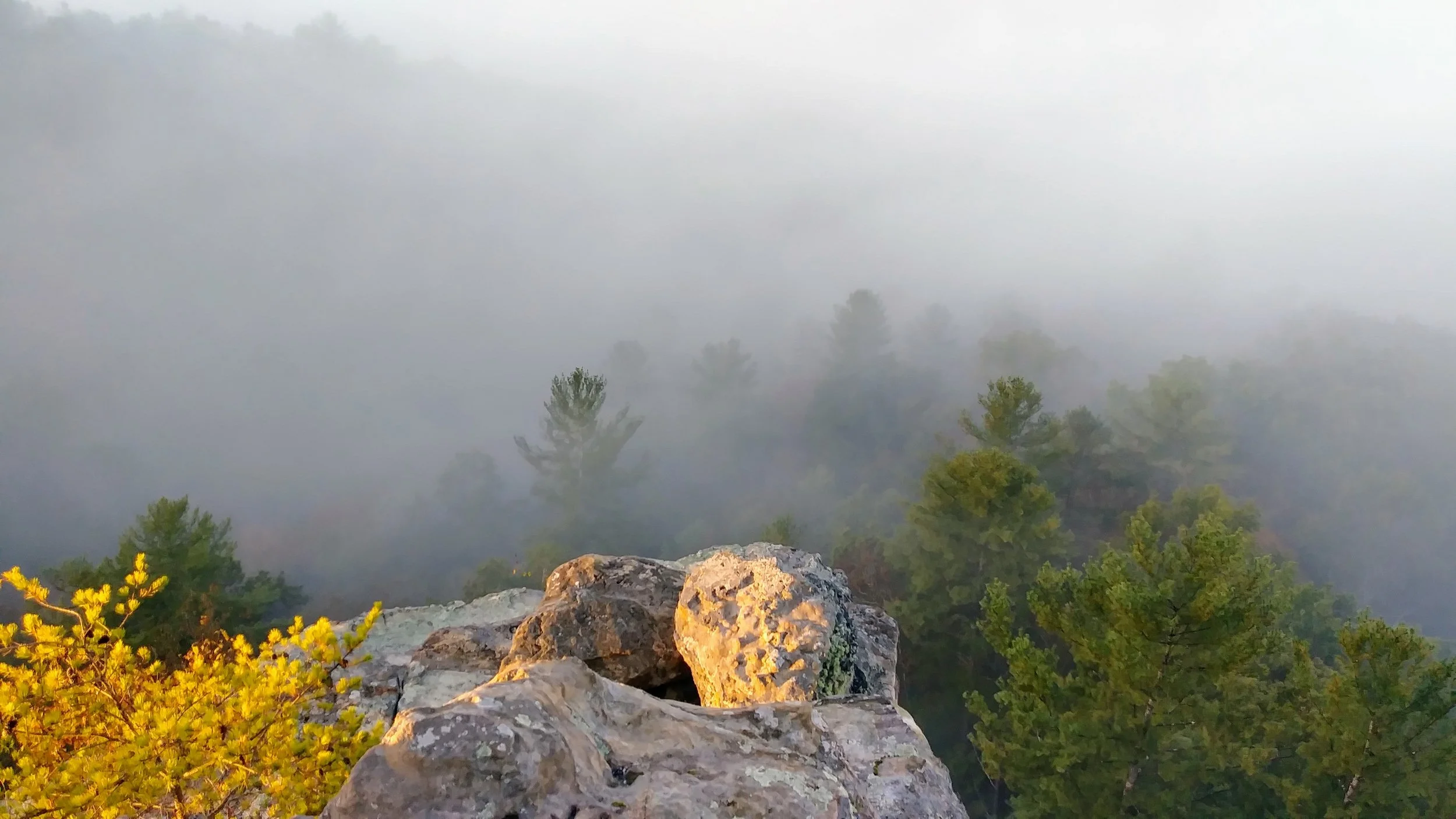 Looking down into Red River Gorge from Chimney Top Rock.