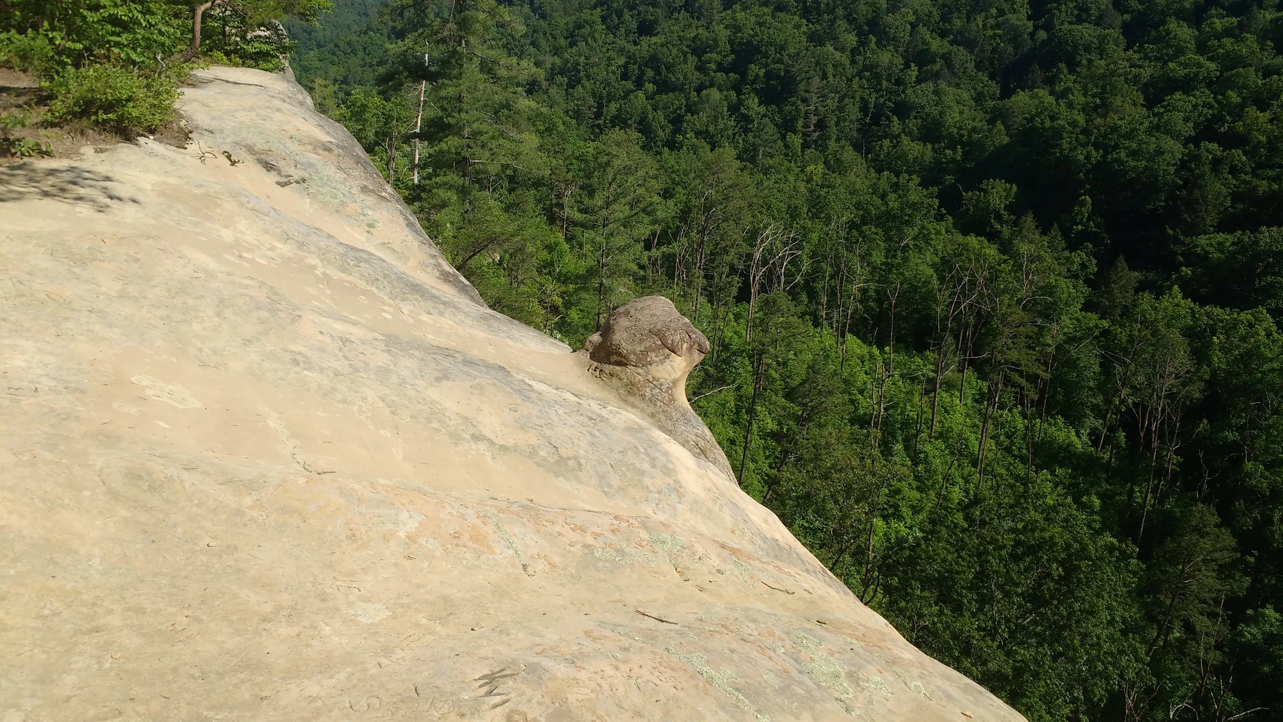 Frog's Head on Indian Staircase Trail