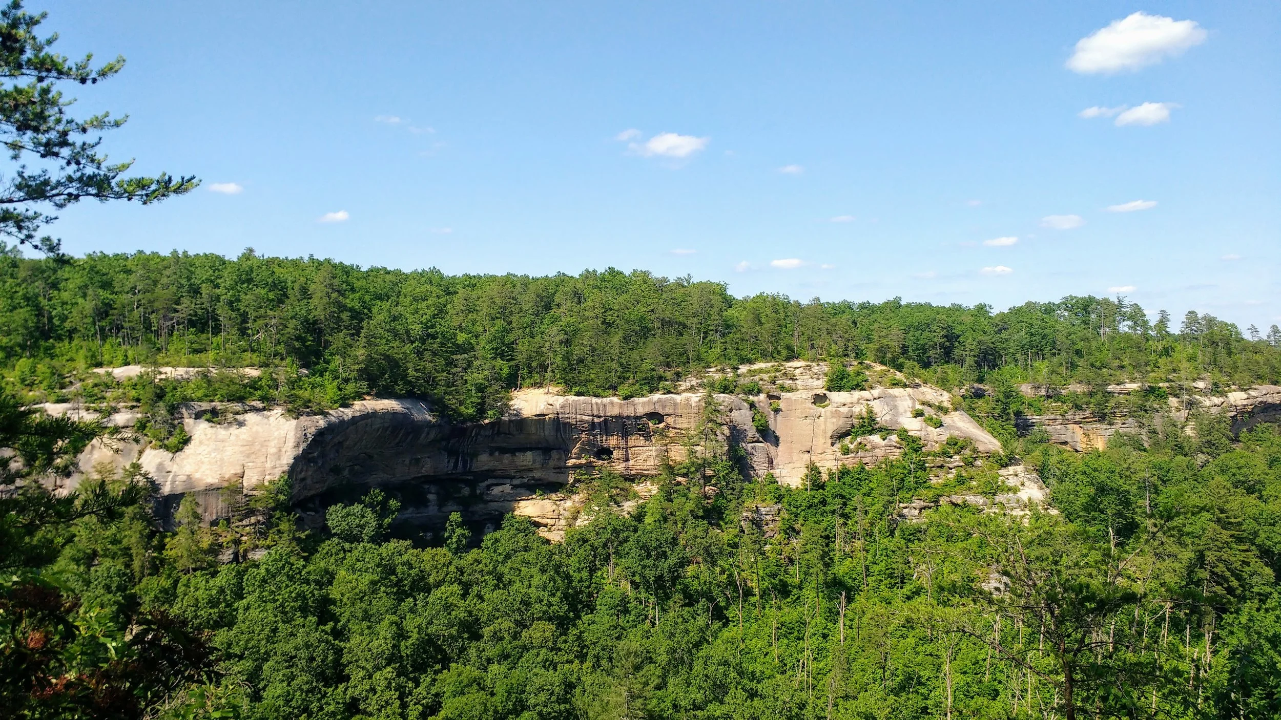 View of the north rim of Indian Staircase Trail