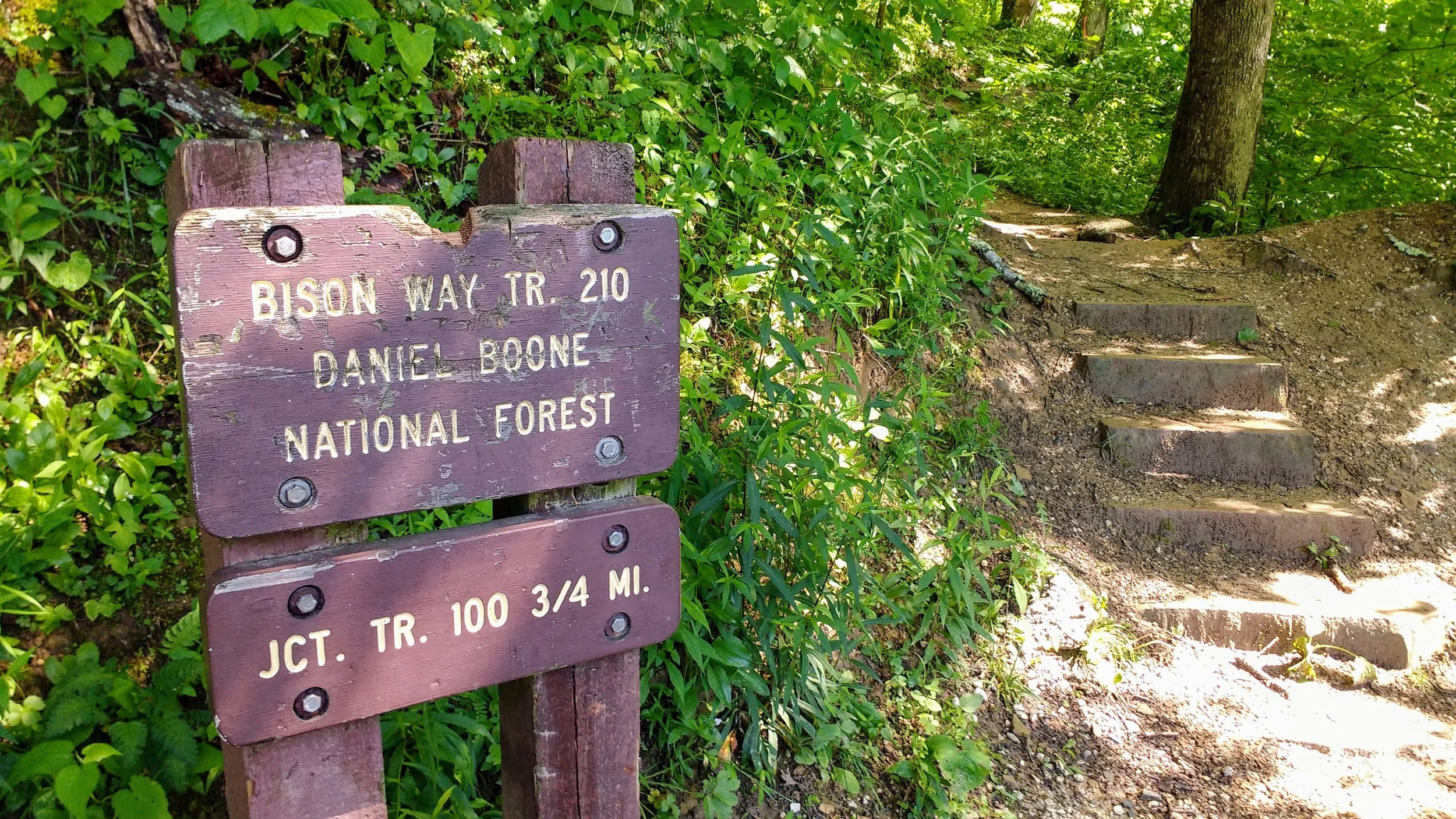 Bison Way Trail sign