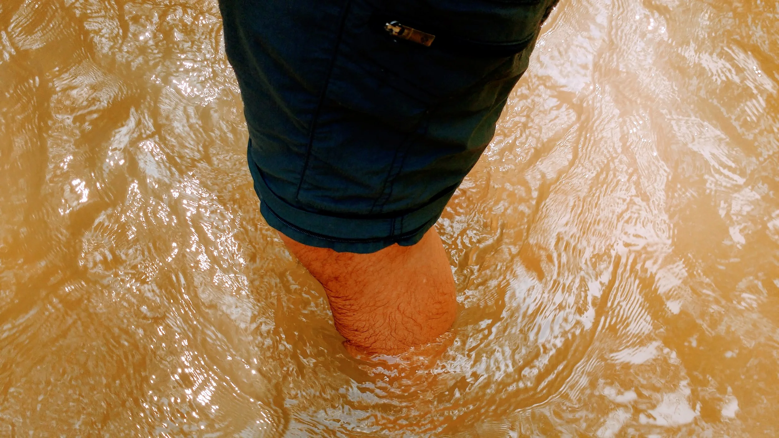 Nearly knee high water crossing at Gladie Creek on Lost Branch Trail