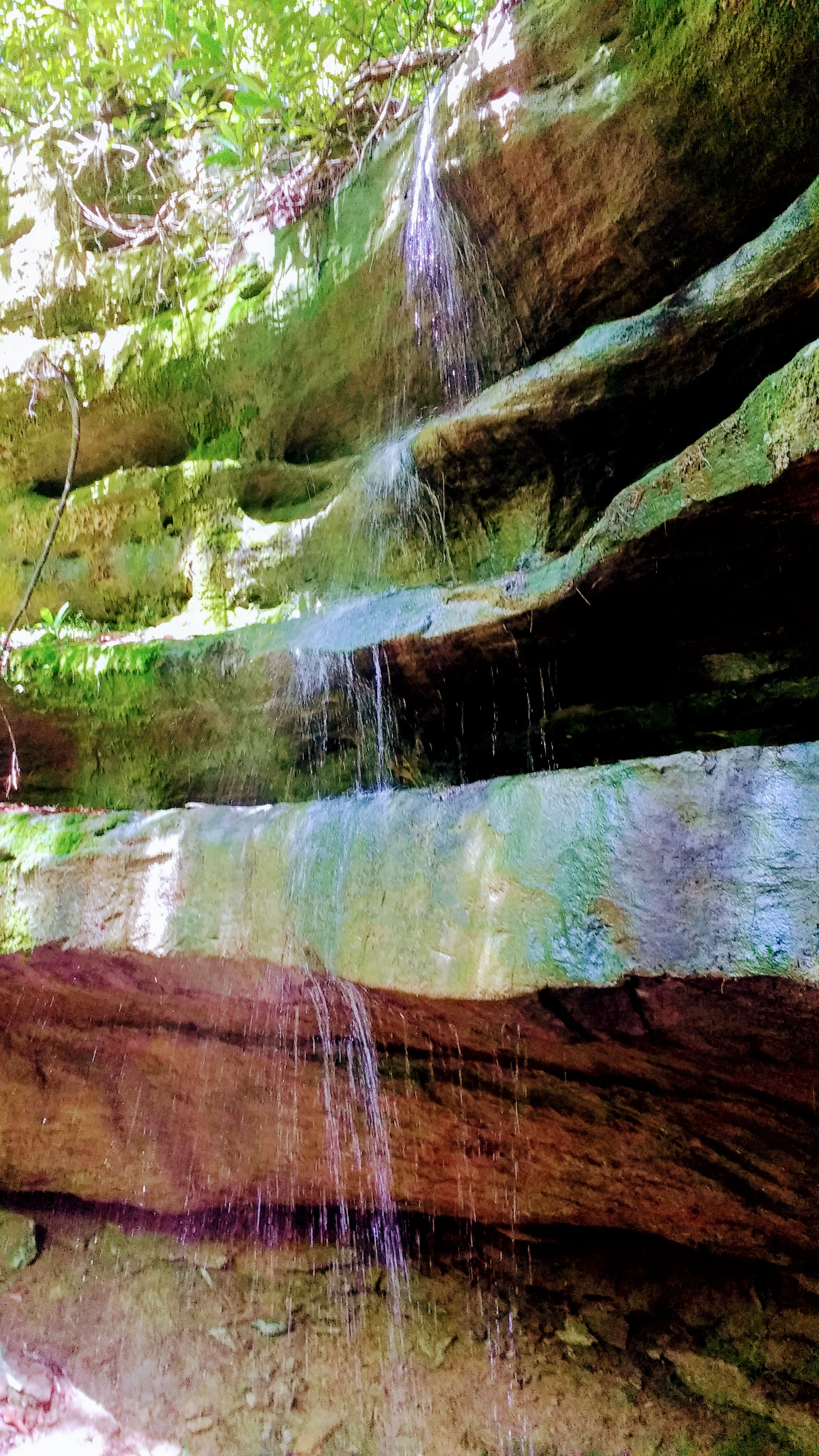 Waterfall off Osborne Bend Trail - best viewed during the wet months