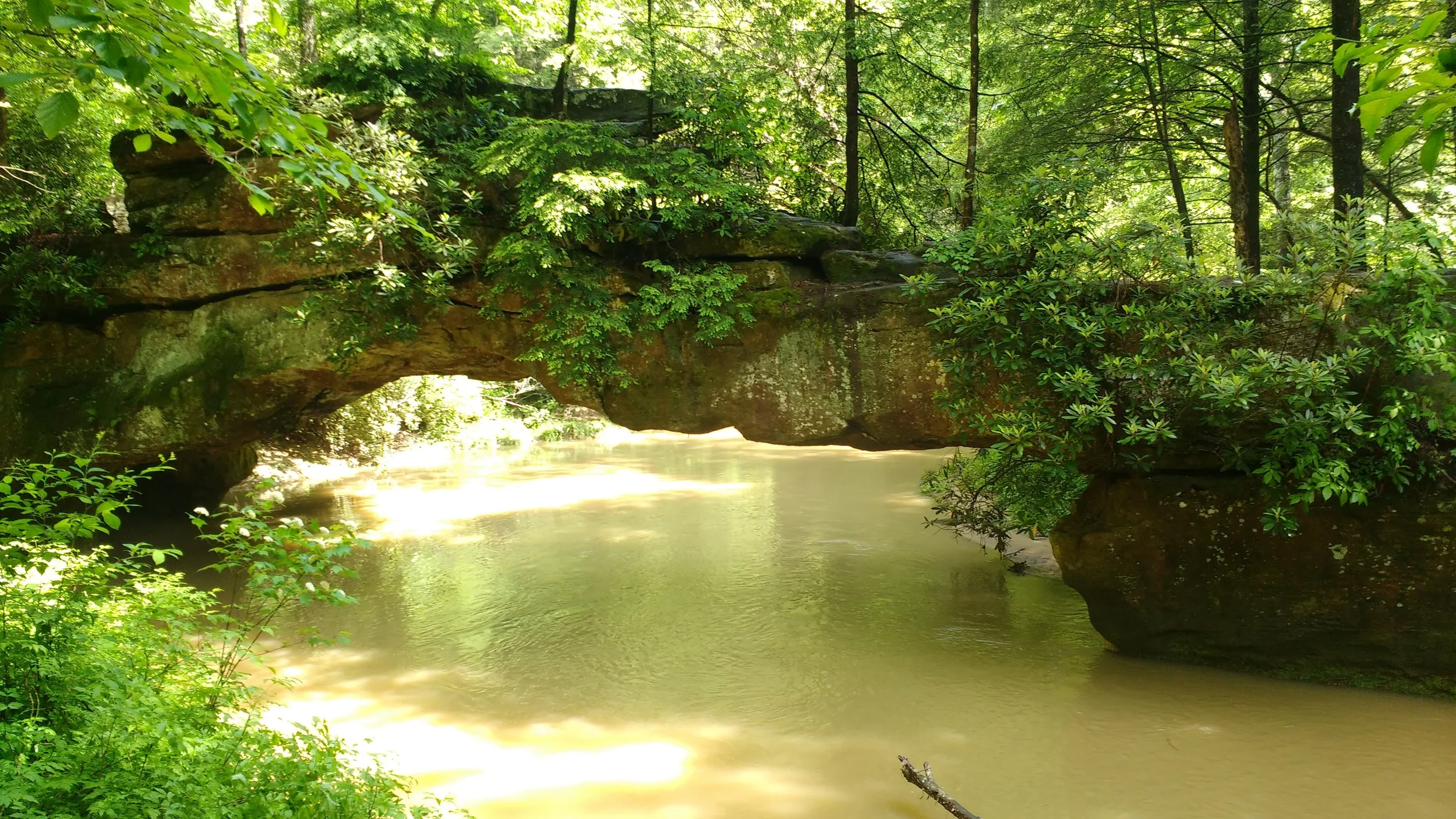 Rock Bridge Arch in May