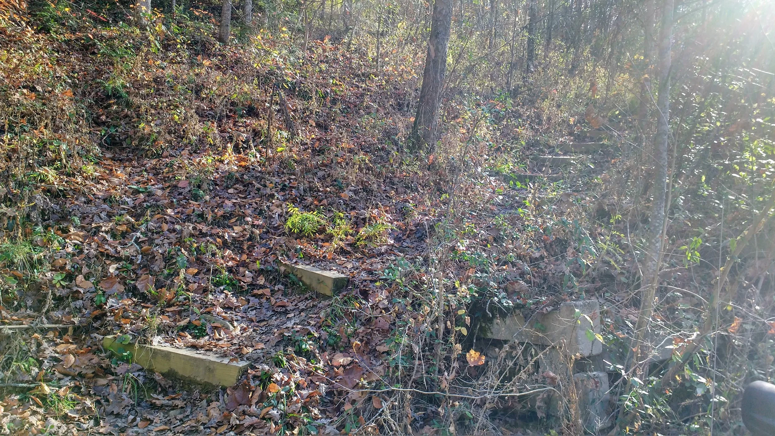 Steps on Pebble Beach Trail