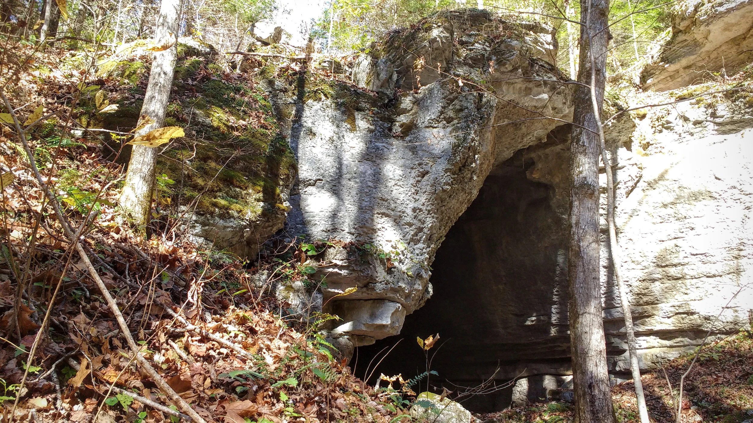 Wolfpen Arch just north of Powder Mill Branch Trail
