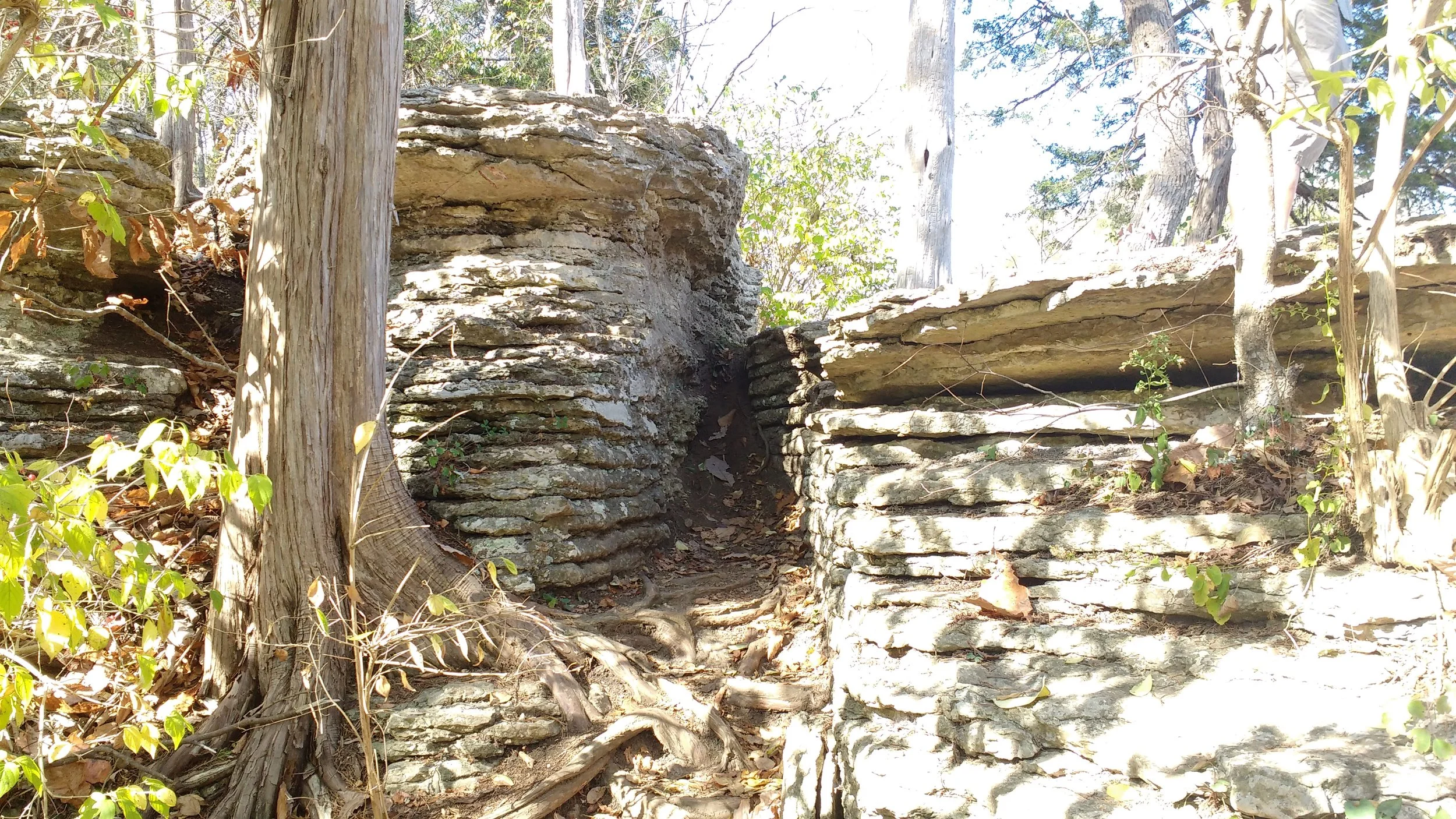 Rock layers on Raven Run Red Loop