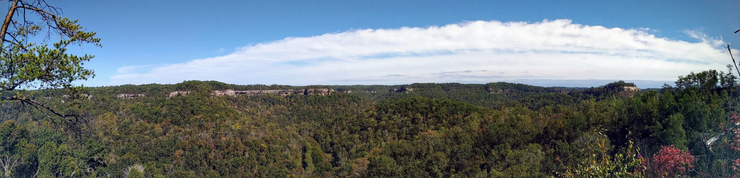 A gorgeous panoramic view on Auxier Ridge Trail