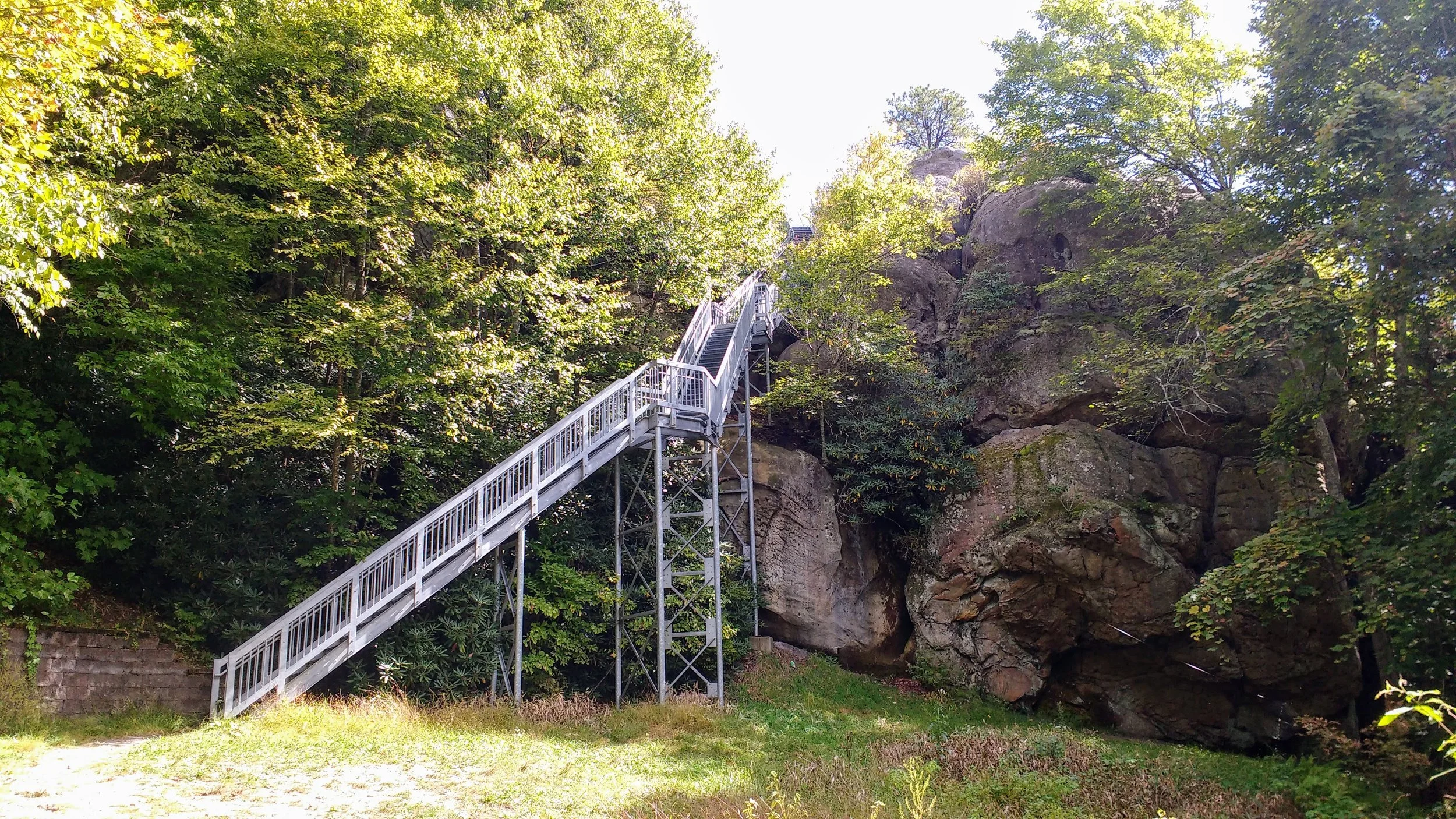 First section of steps (183 total) leading up to Birch Knob Observation Tower on Pine Mountain Trail