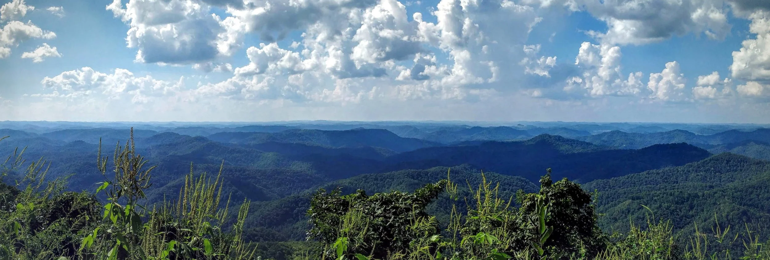 A panoramic view from Pine Mountain Trail