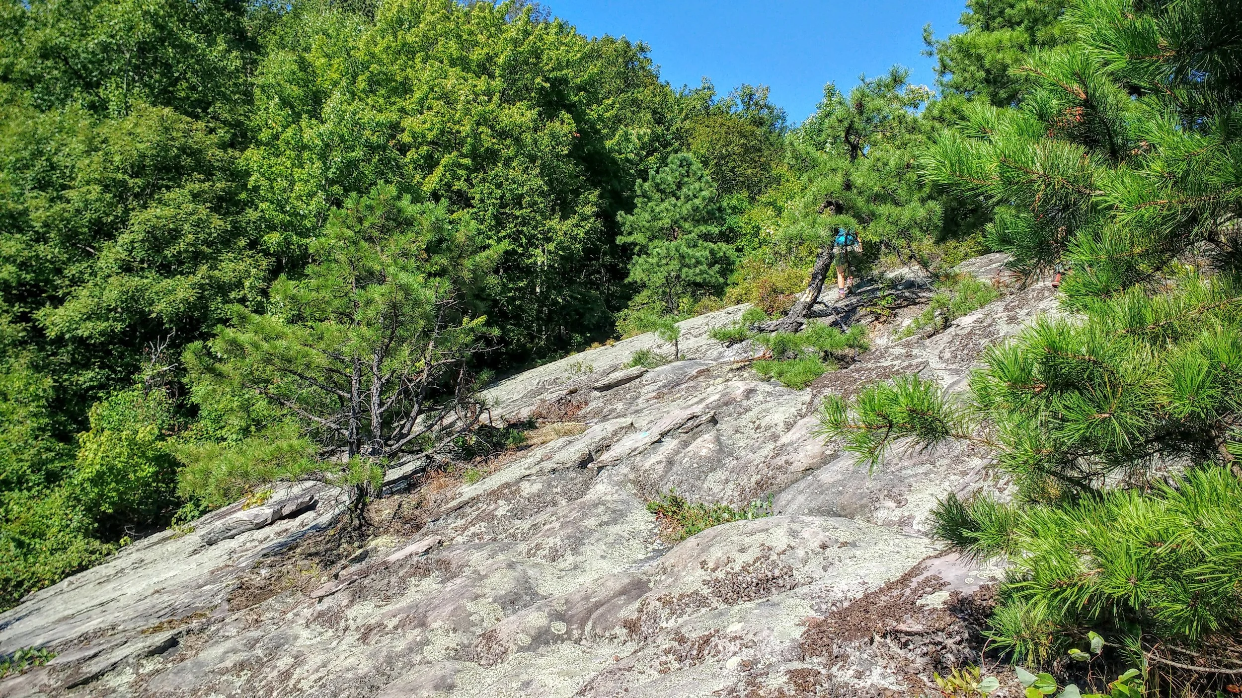 One of many slanted rock slabs along Pine Mountain Trail