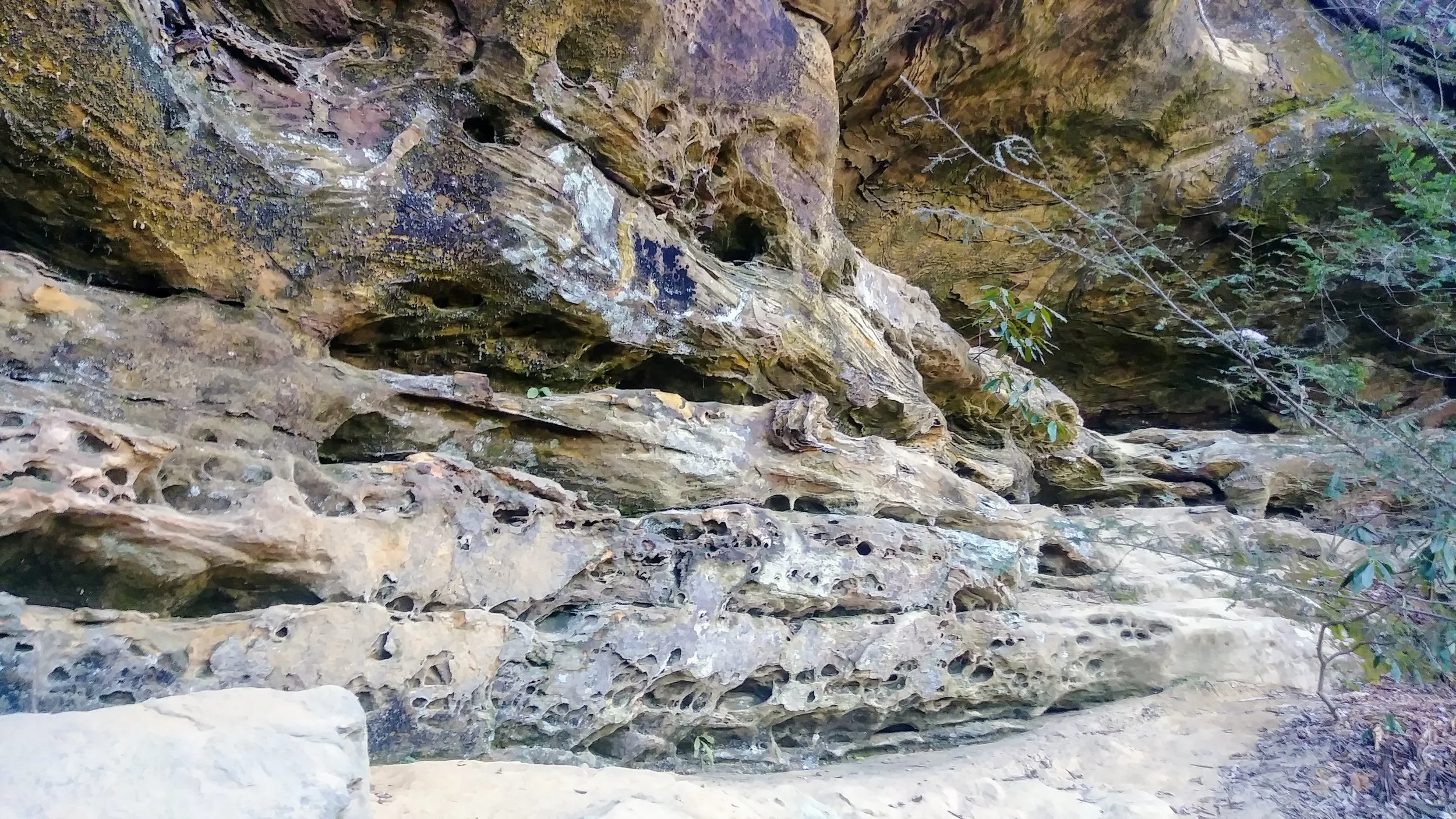Classic rock formations of Red River Gorge