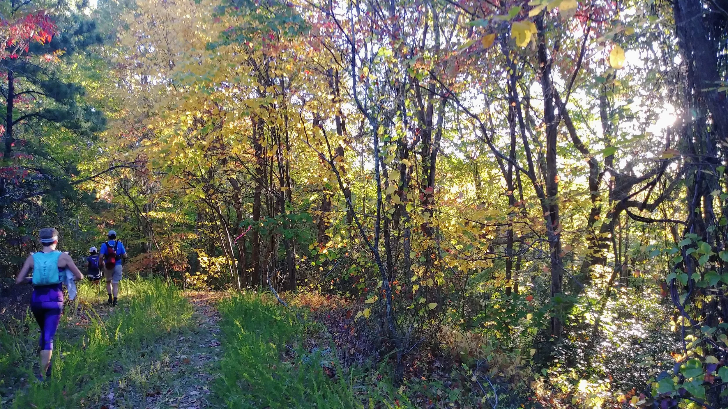 Running Trails at Cloudsplitter 100.jpg
