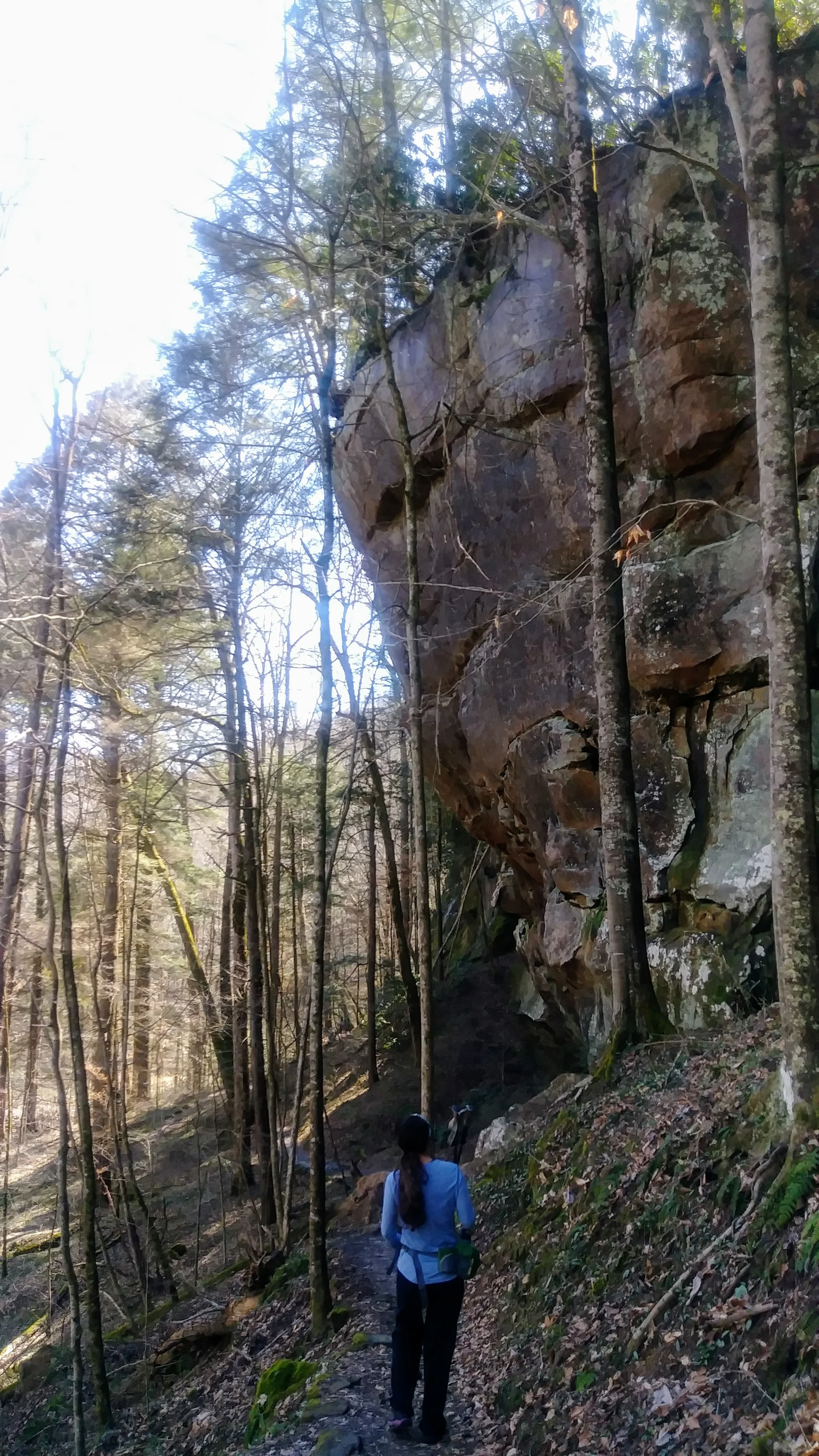 Checking out rock walls on our way down to Yahoo Falls.