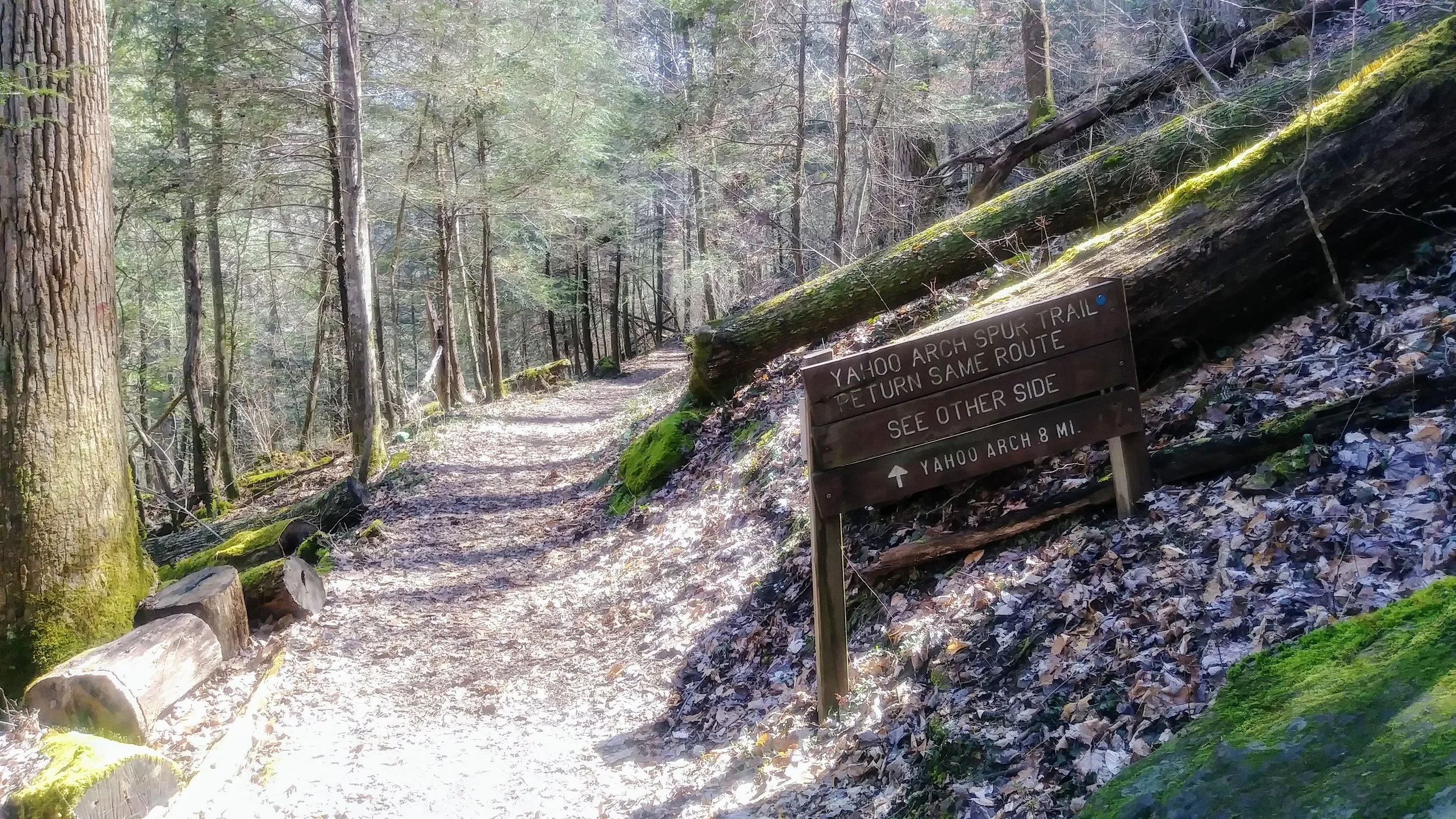 Trail signs to Yahoo Arch - only 0.8 miles away from the falls.