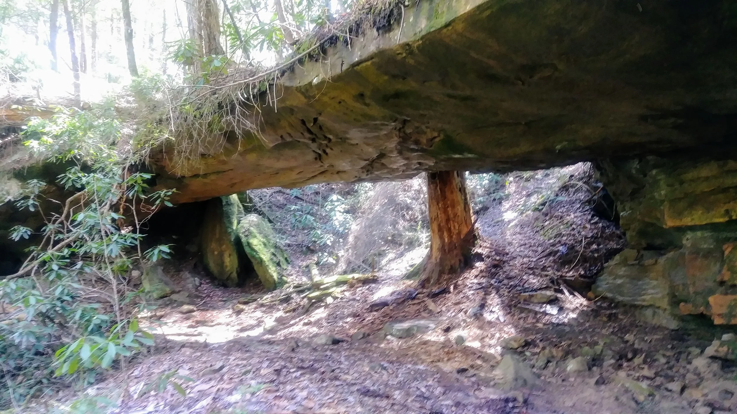 Markers Arch from below.