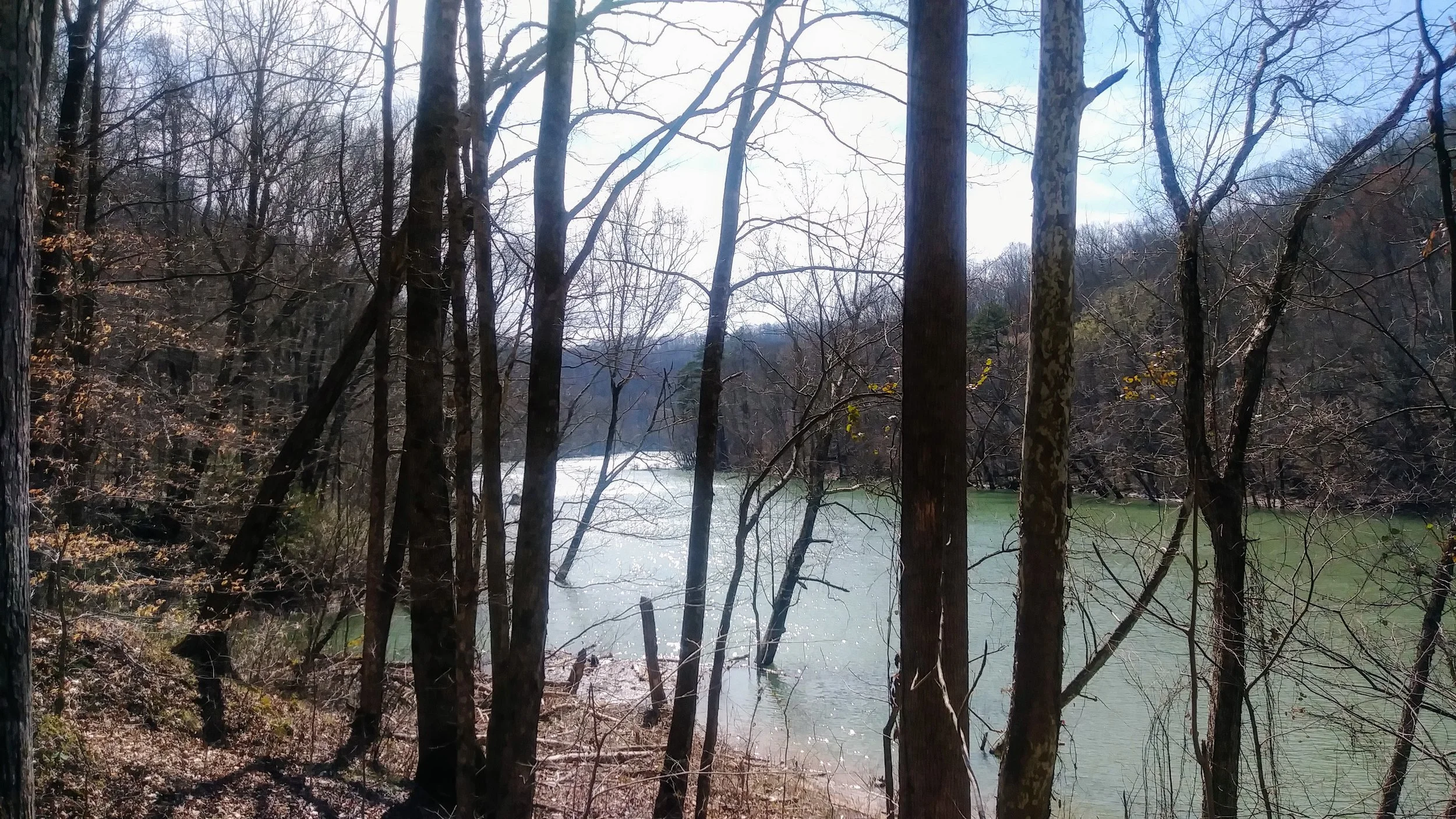Looking out at Big South Fork from Sheltowee Trace.
