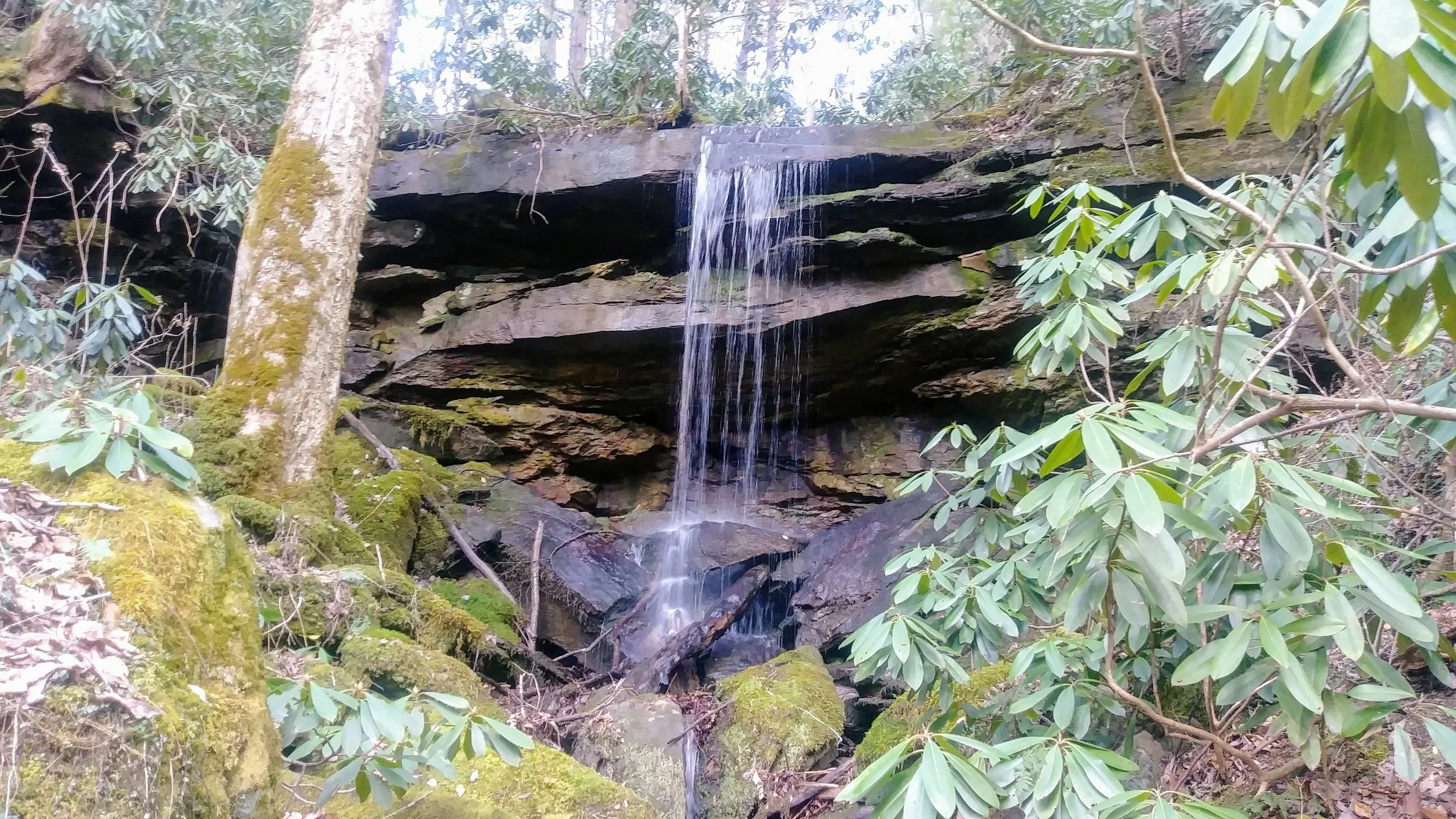 Another waterfall along Sheltowee Trace.