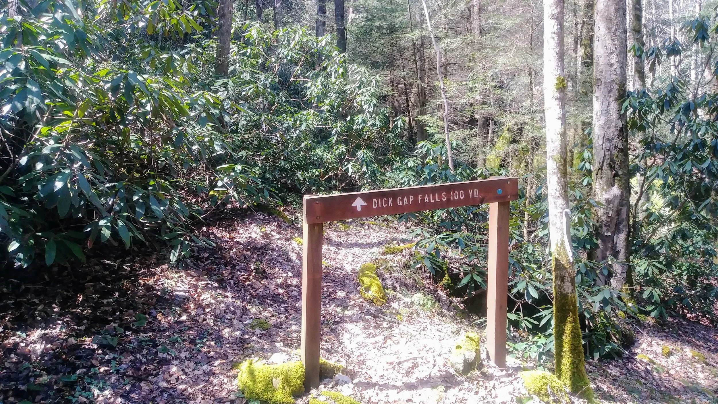 Trail sign for Dick Gap Falls spur trail