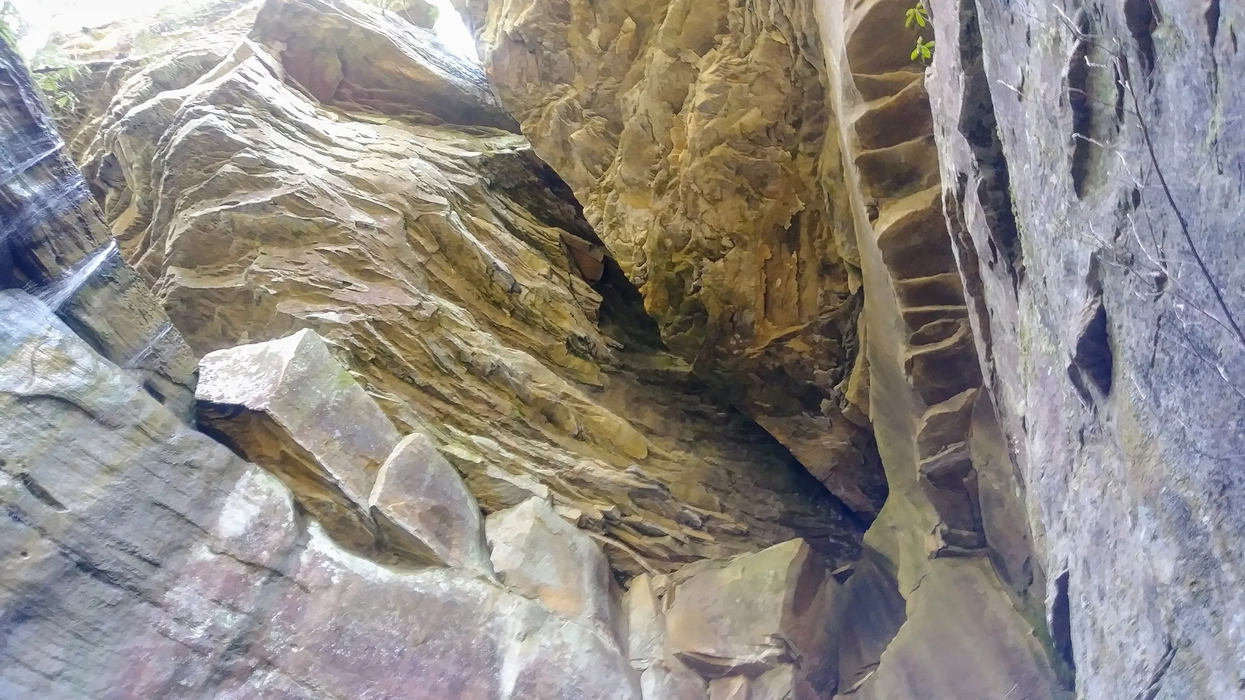 Looking up at one of the best rock shelters in Kentucky
